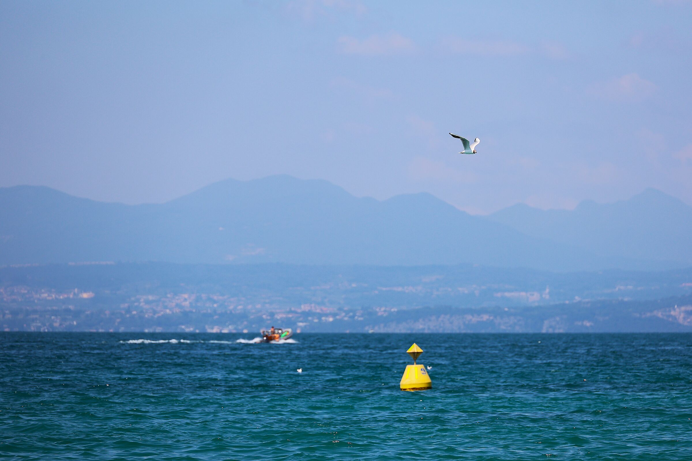 Lazise
