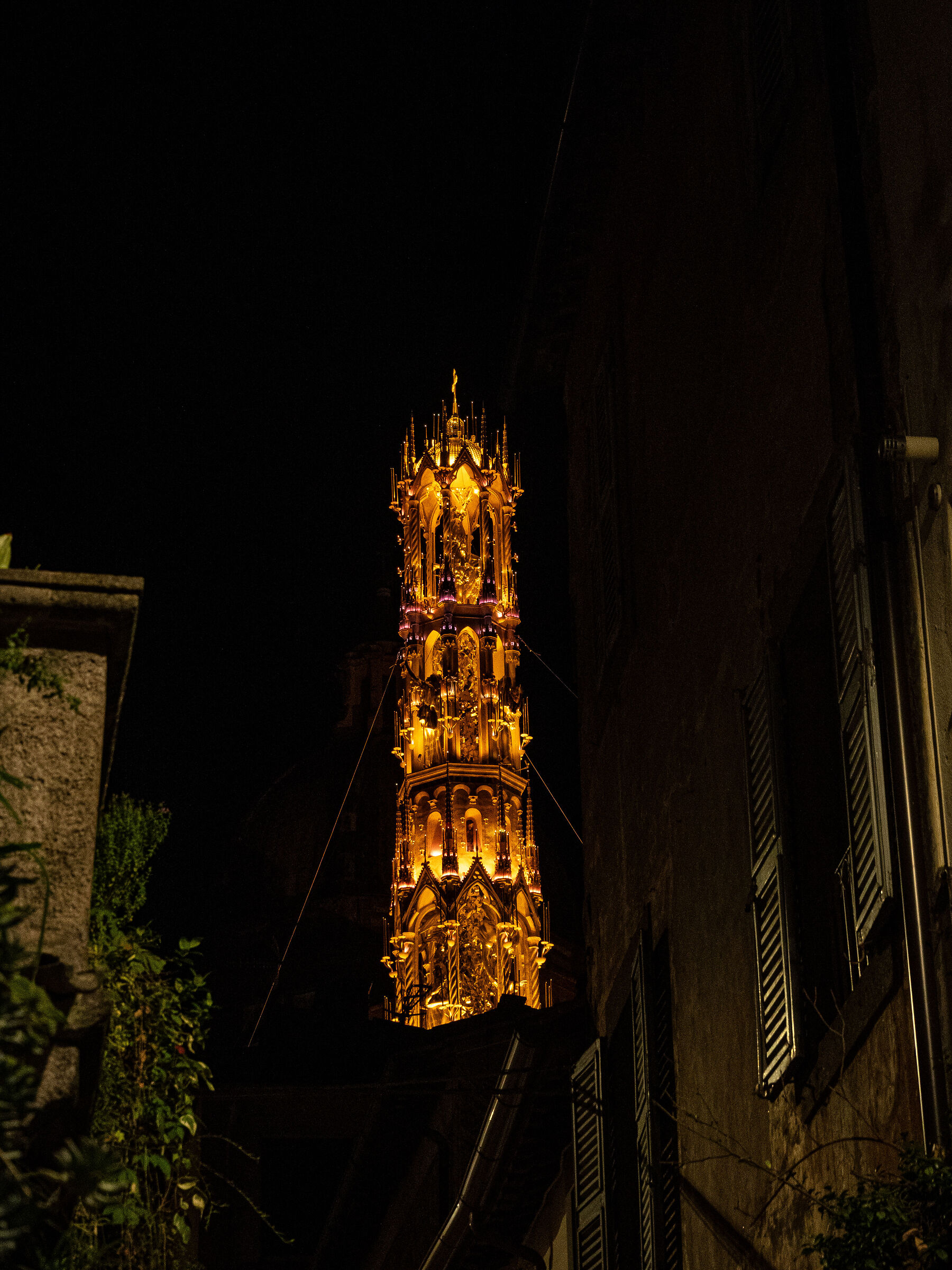 Santa Rosa Dies Natalis