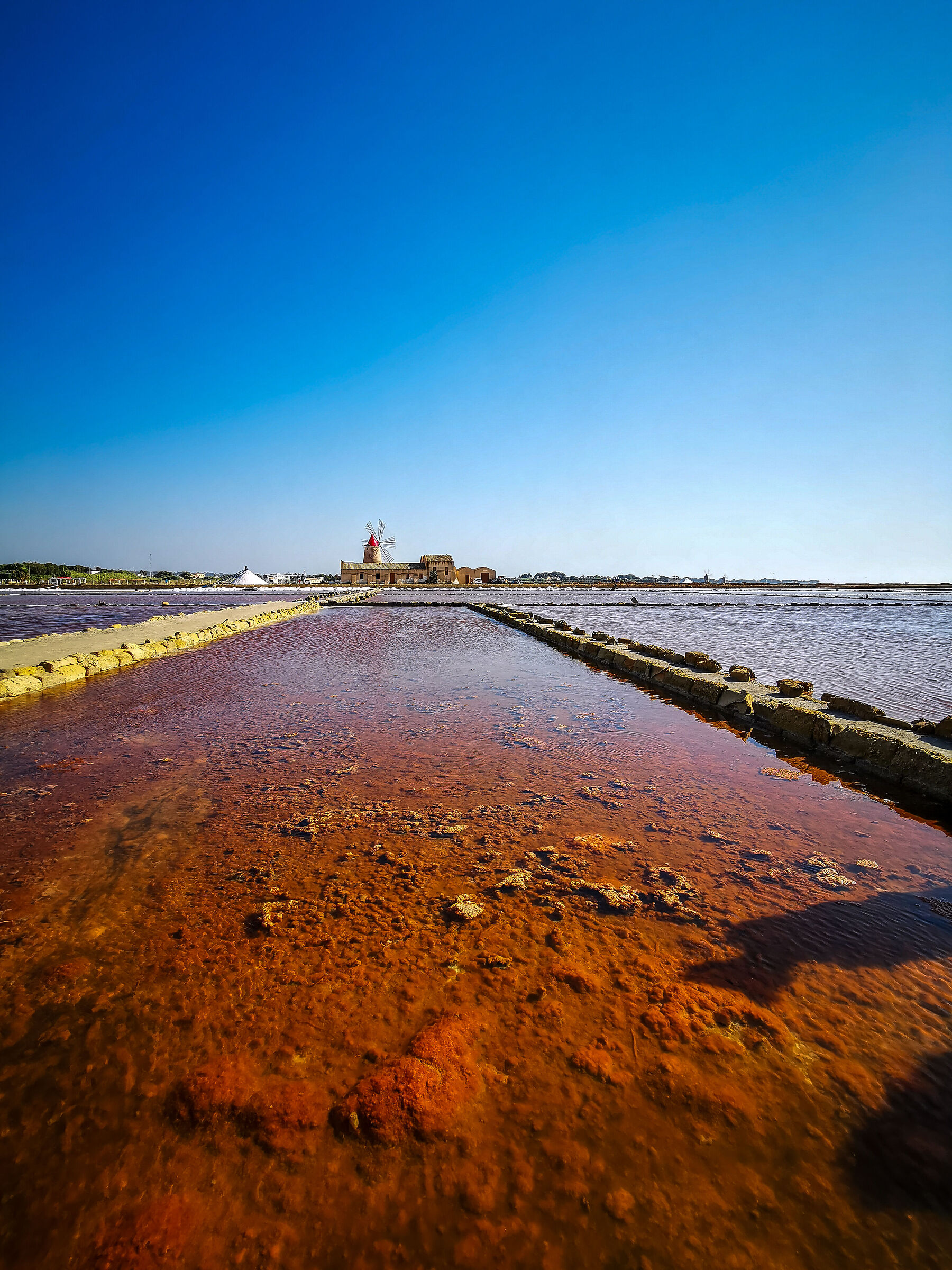 Marsala saline