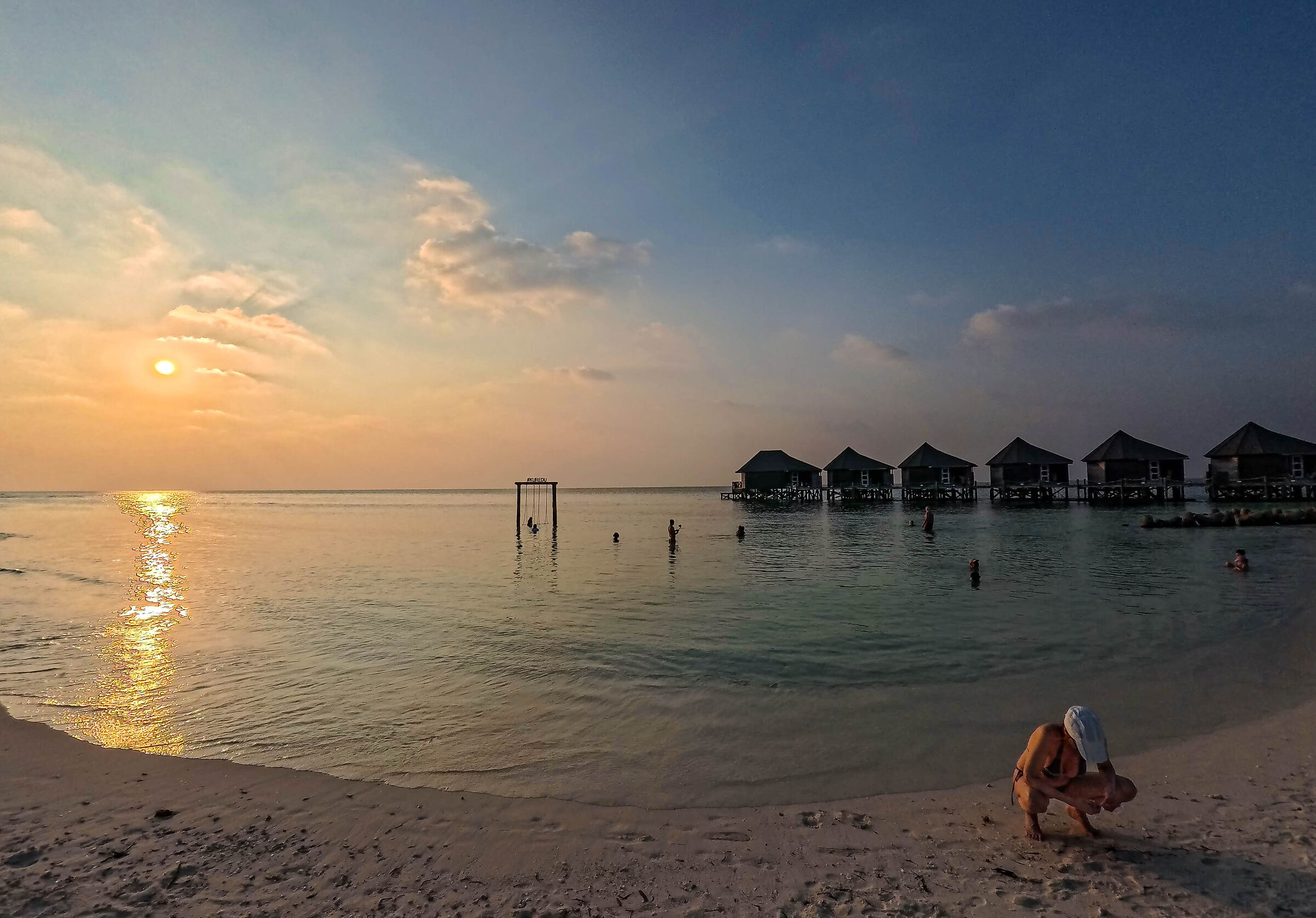 a caccia di molluschi