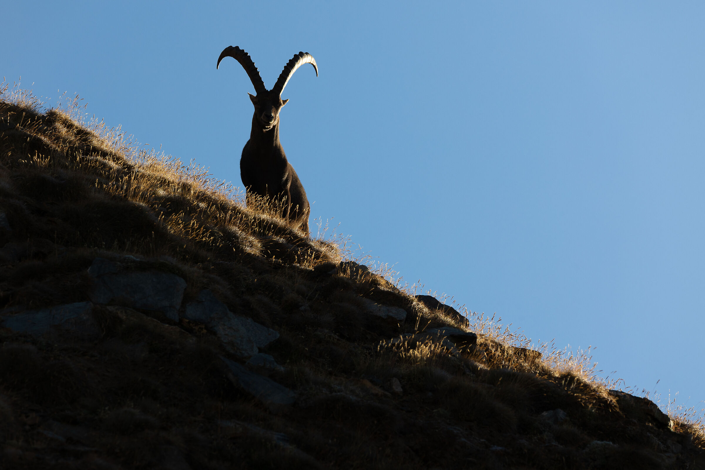 On the illuminated ridge