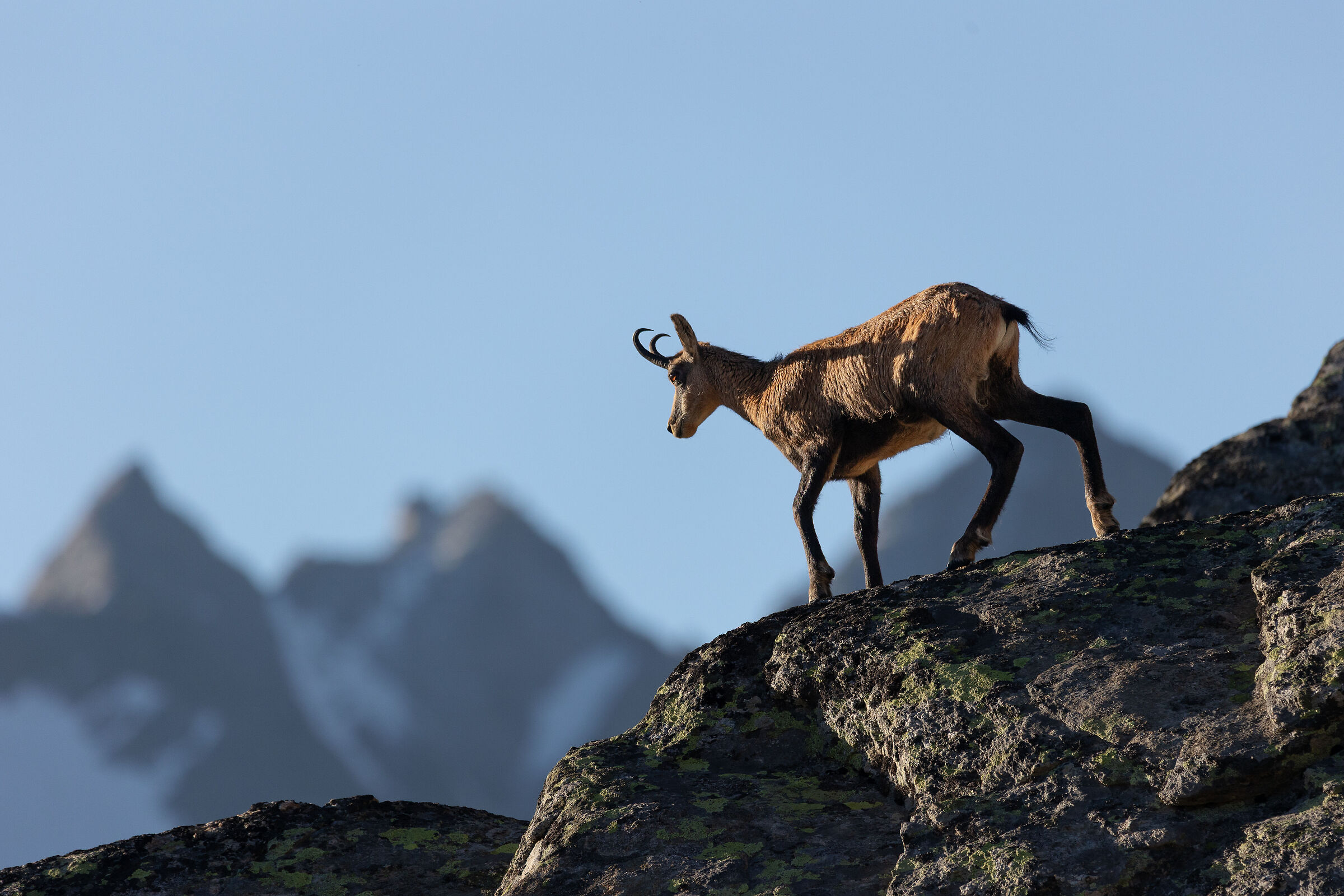 Walking among the peaks
