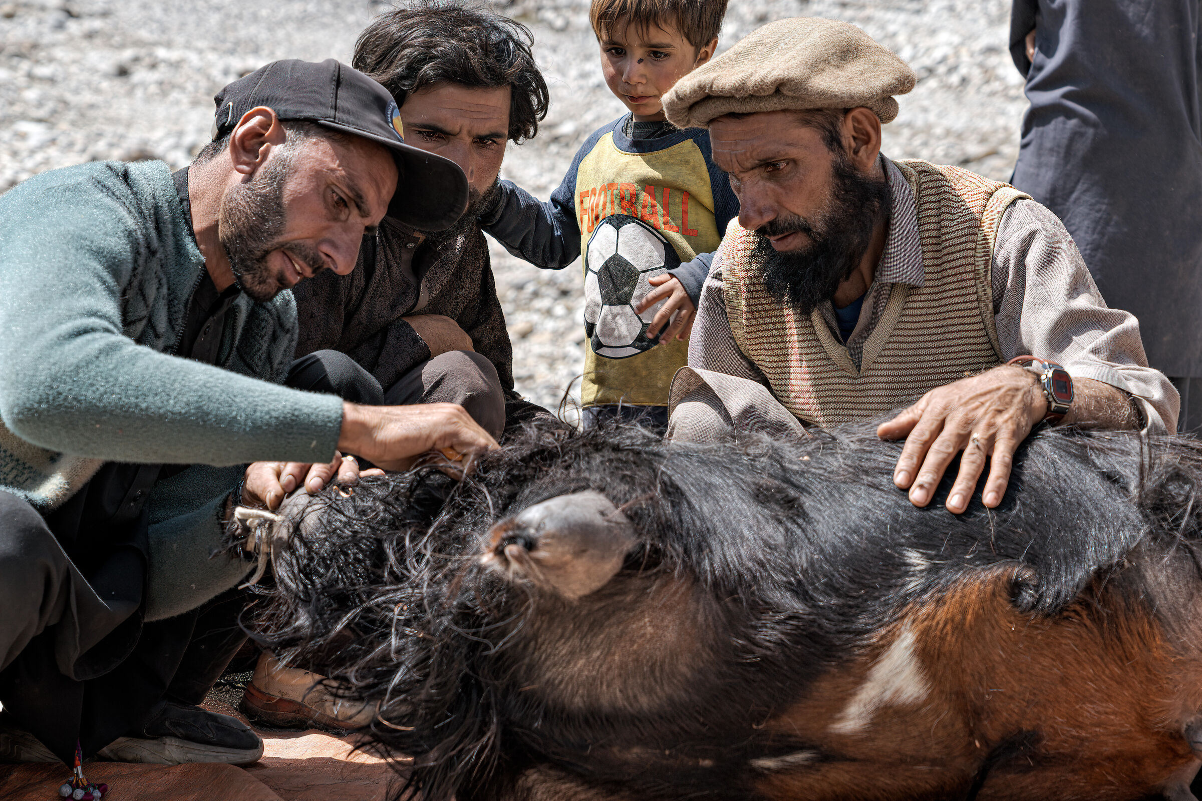 Kutagali, la preparazione di un otre