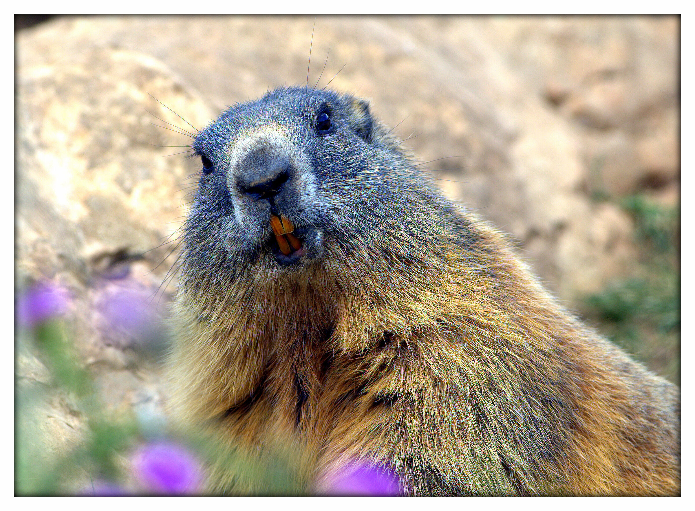 ... Smile you are on.... JUZA