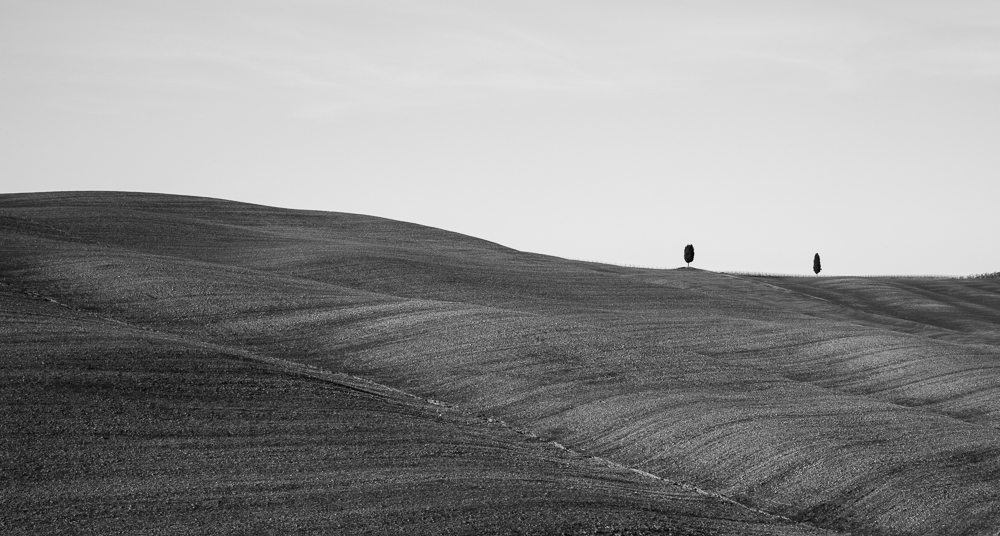 The Crete Senesi
