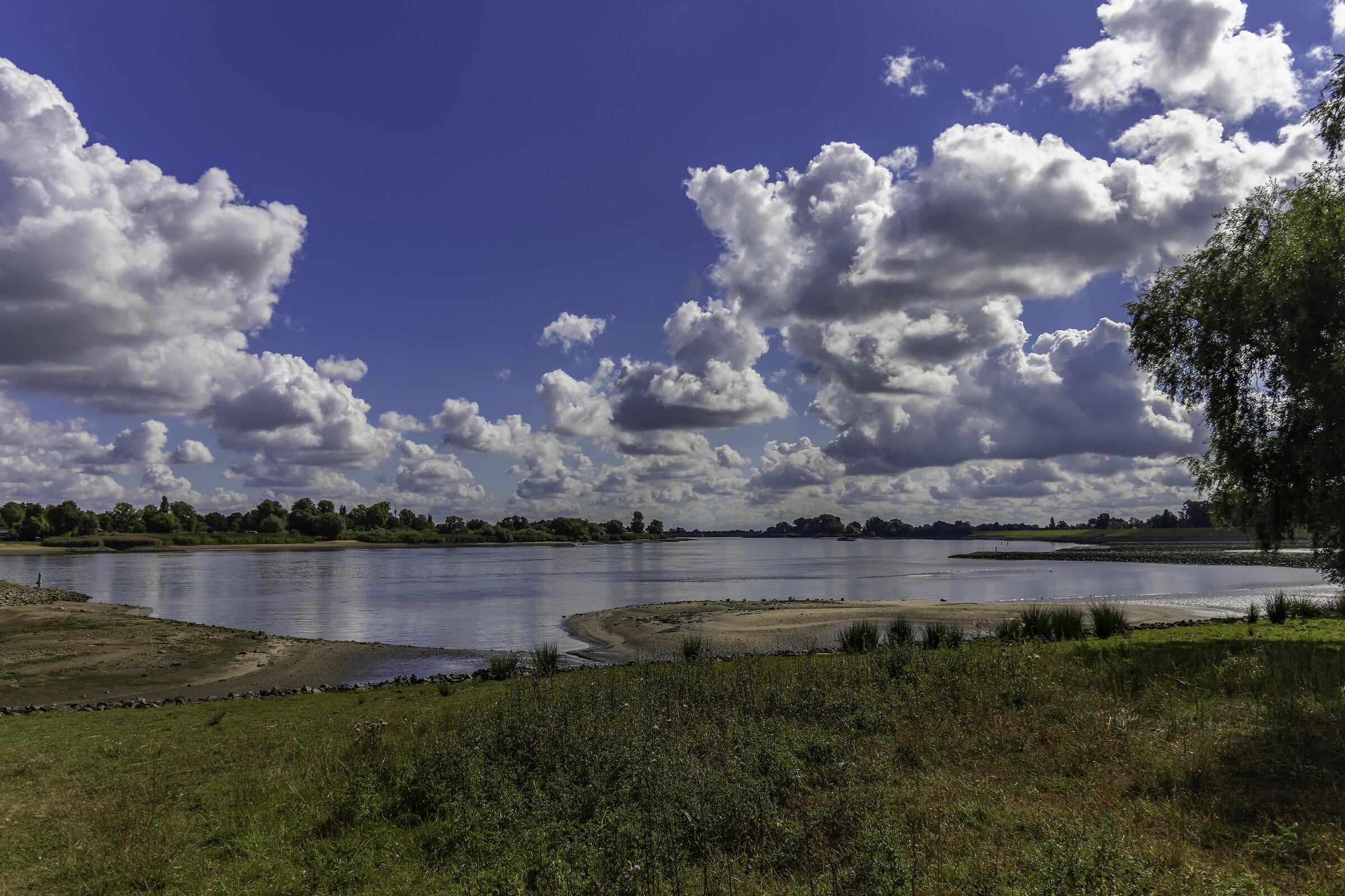 Elbe in the near Hamburg, Germany