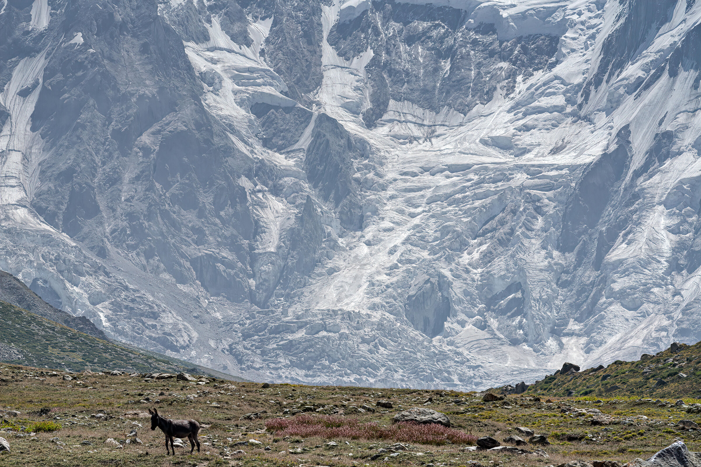 Nanga Parbat Base Camp 4000m