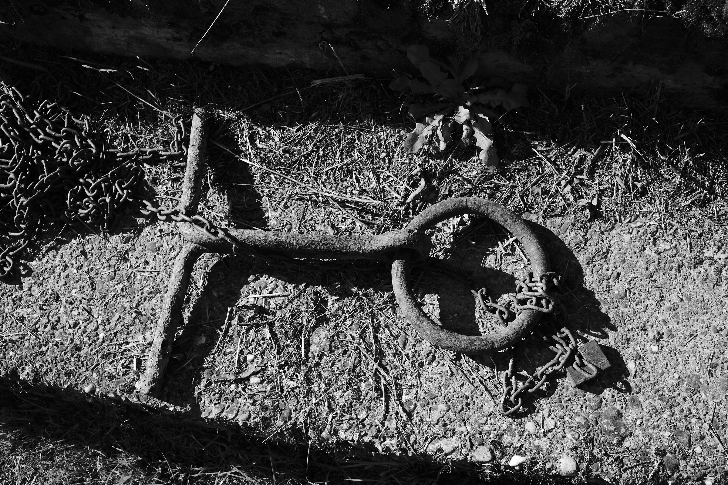Mooring along the river