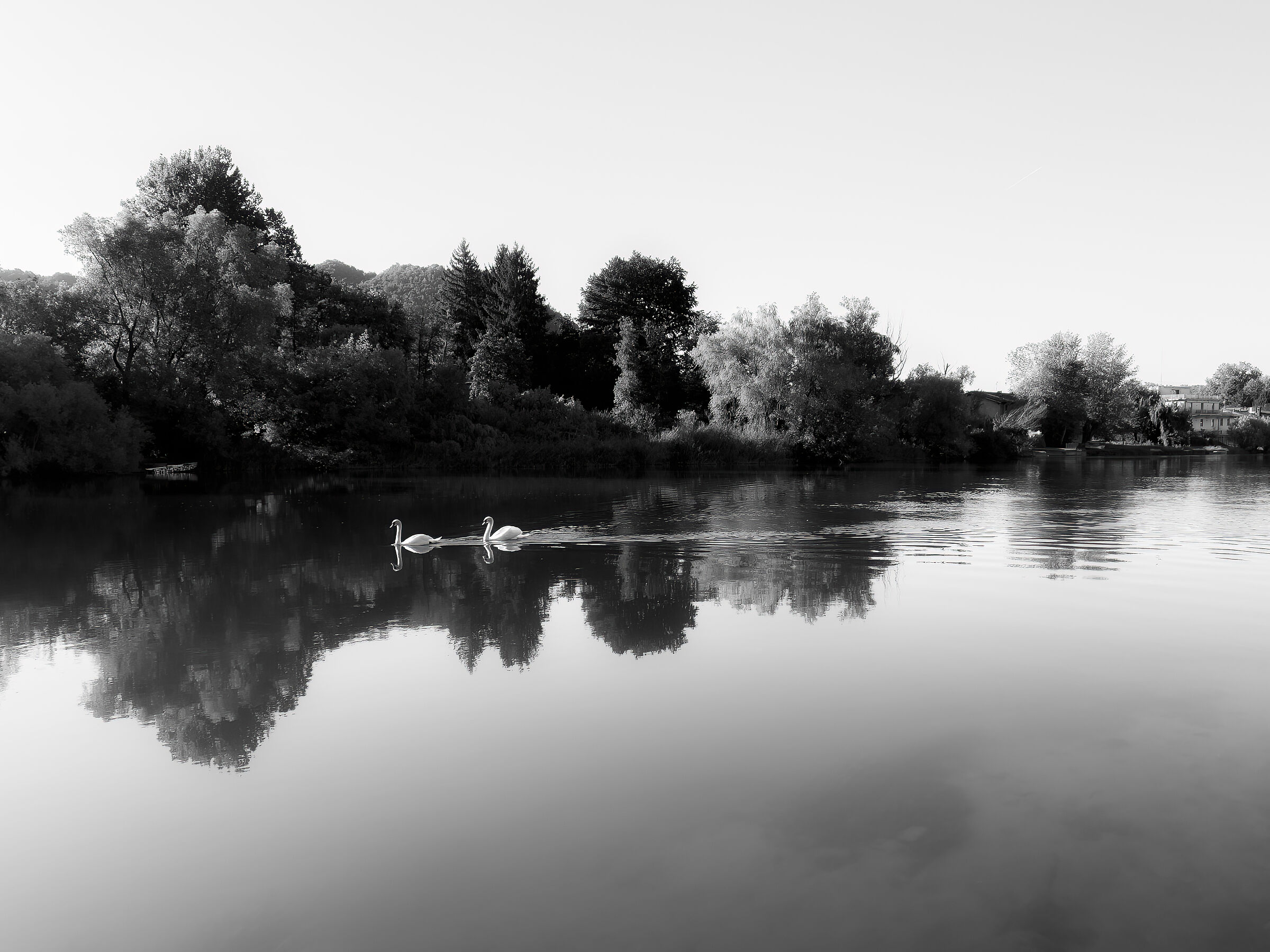Pace sul fiume
