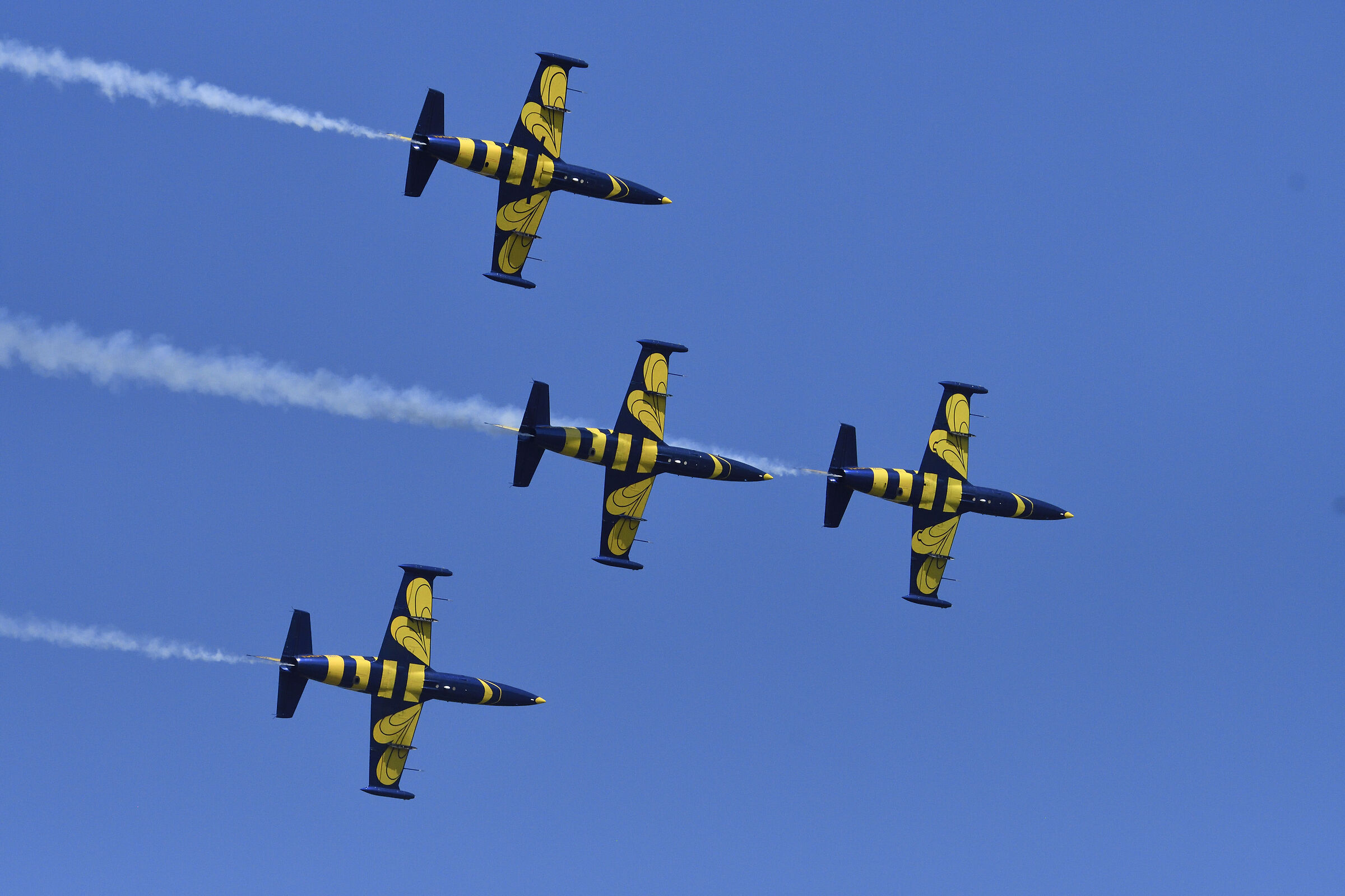 L 39 Albatros Baltic Bees