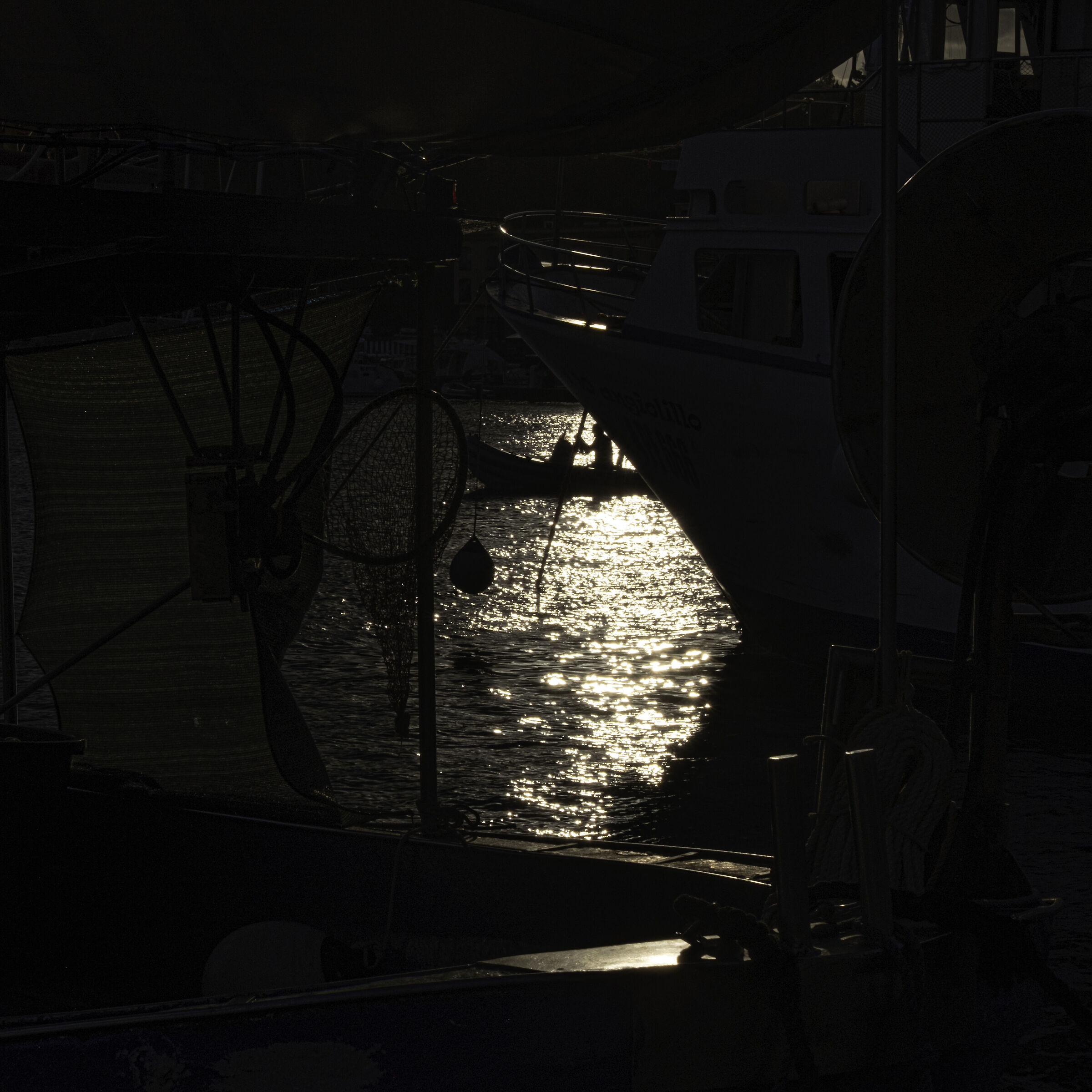 Fisherman