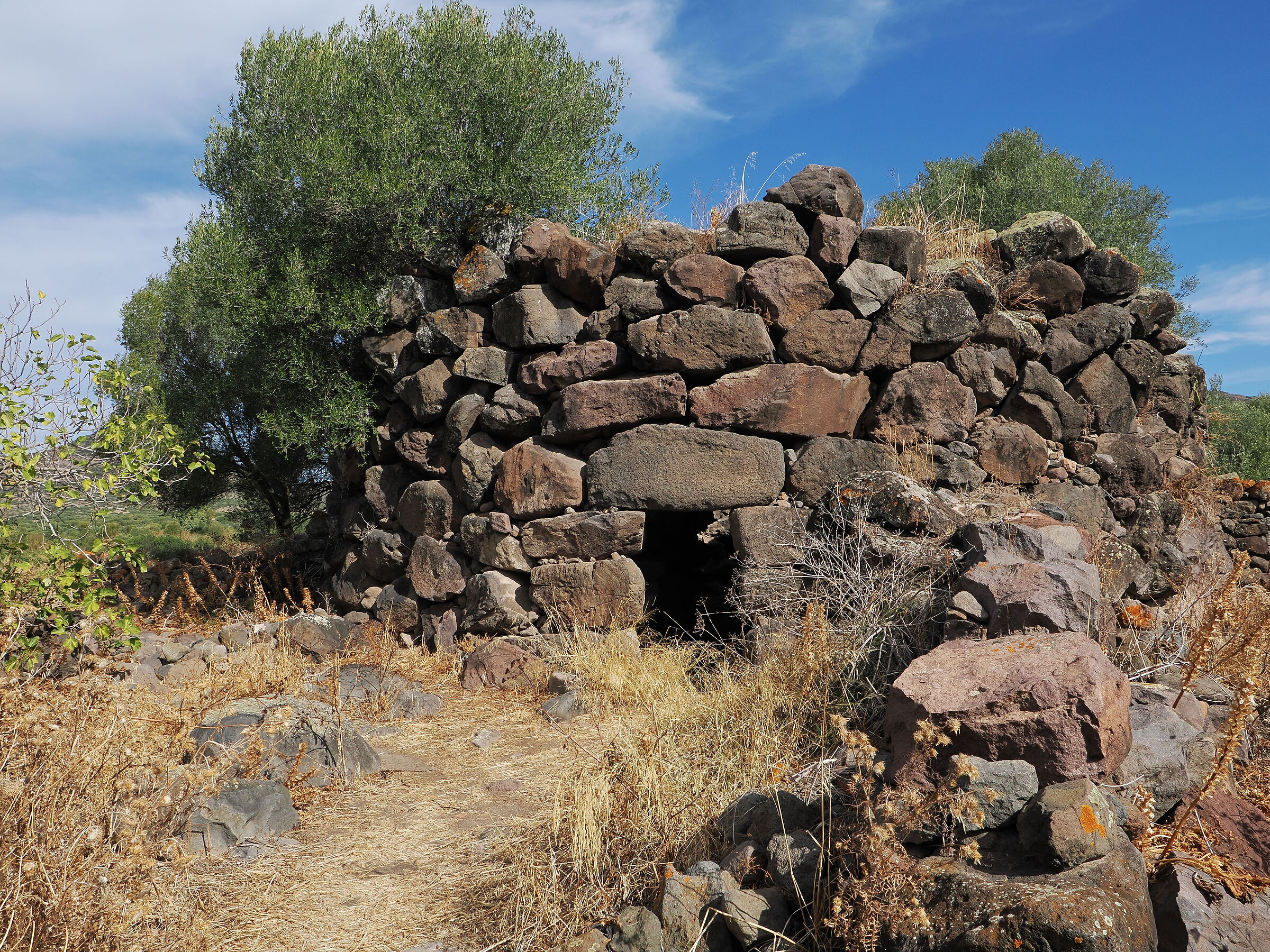 Nuraghe Cuccu