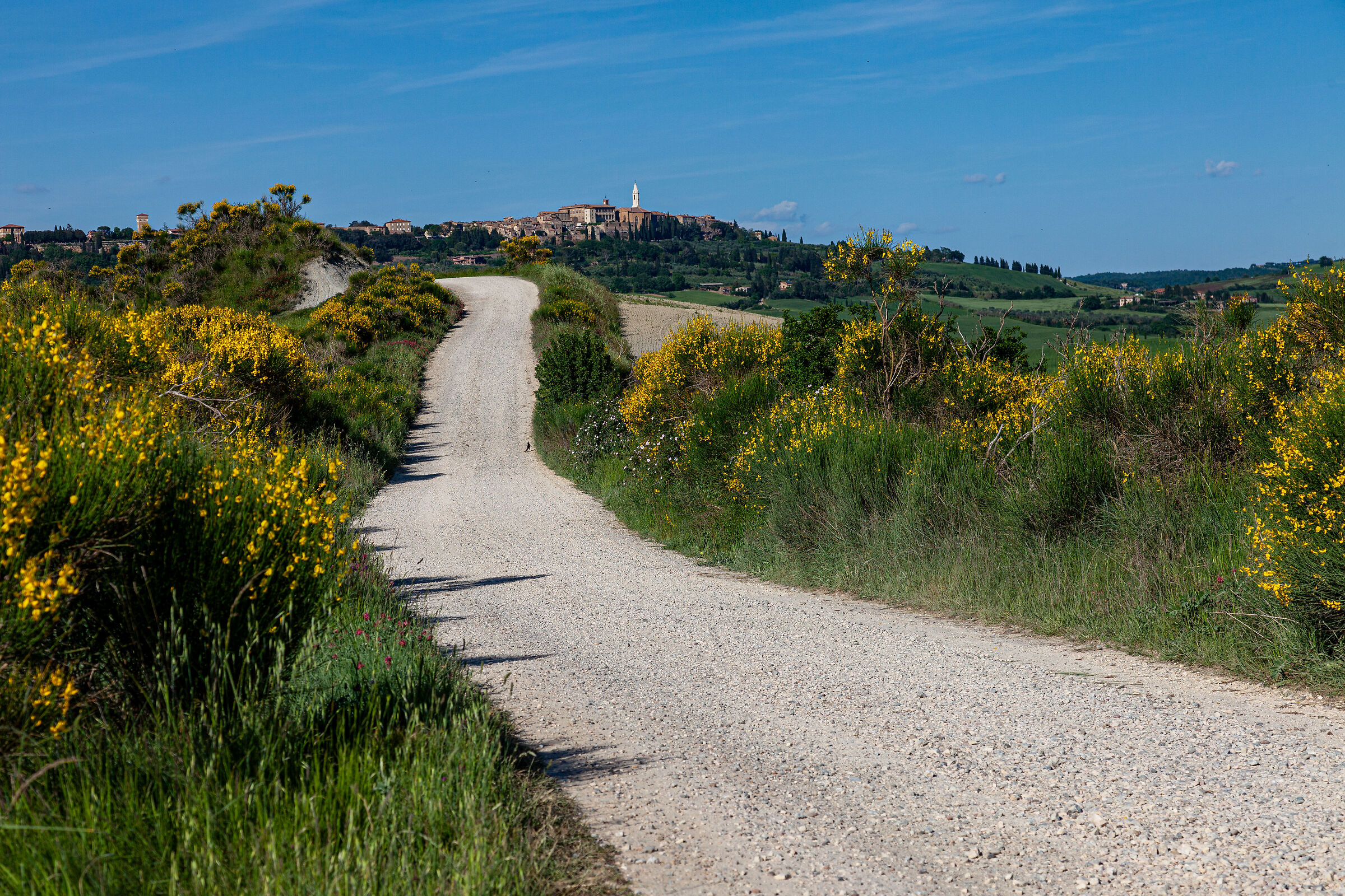 Pienza