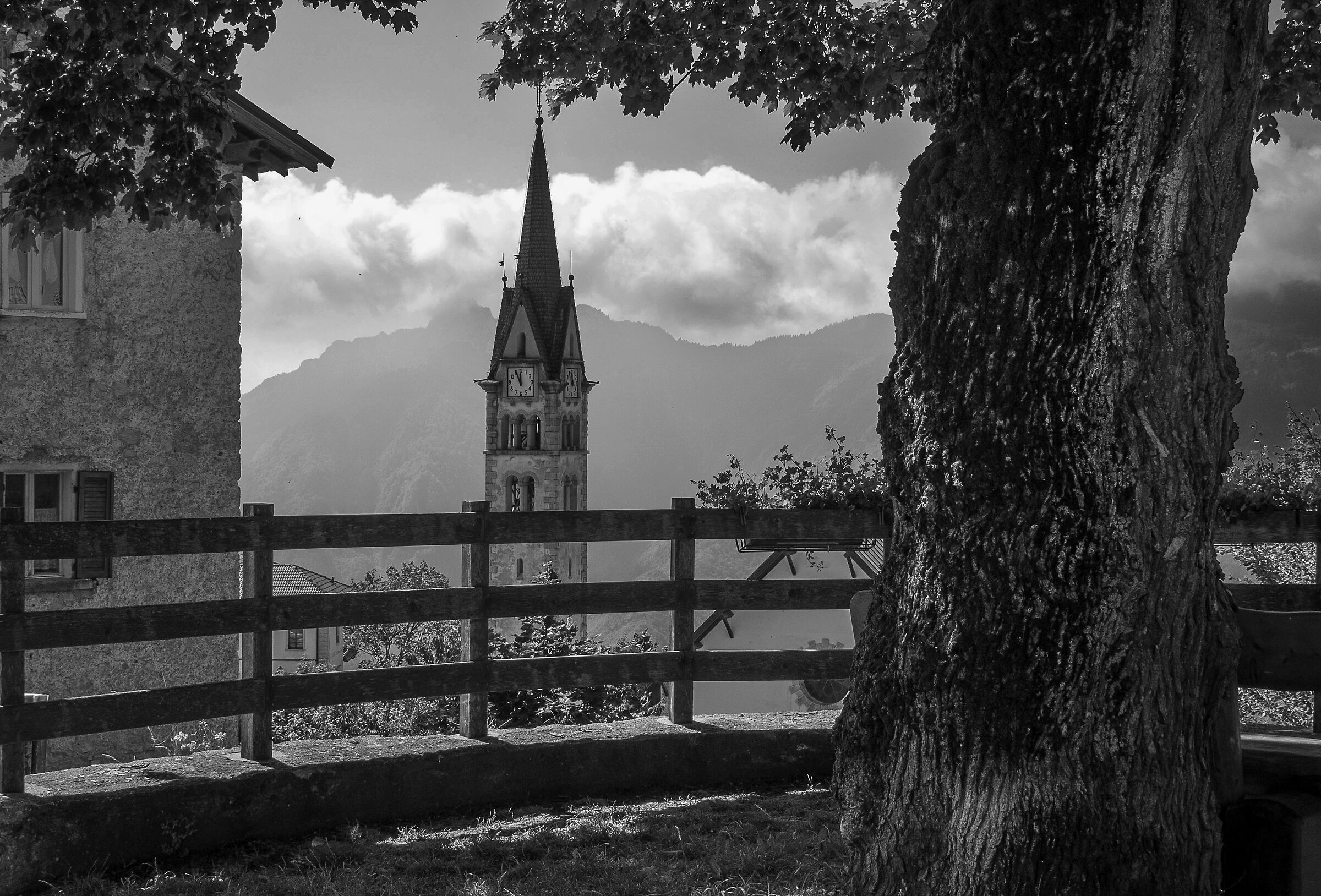 La quercia e il campanile