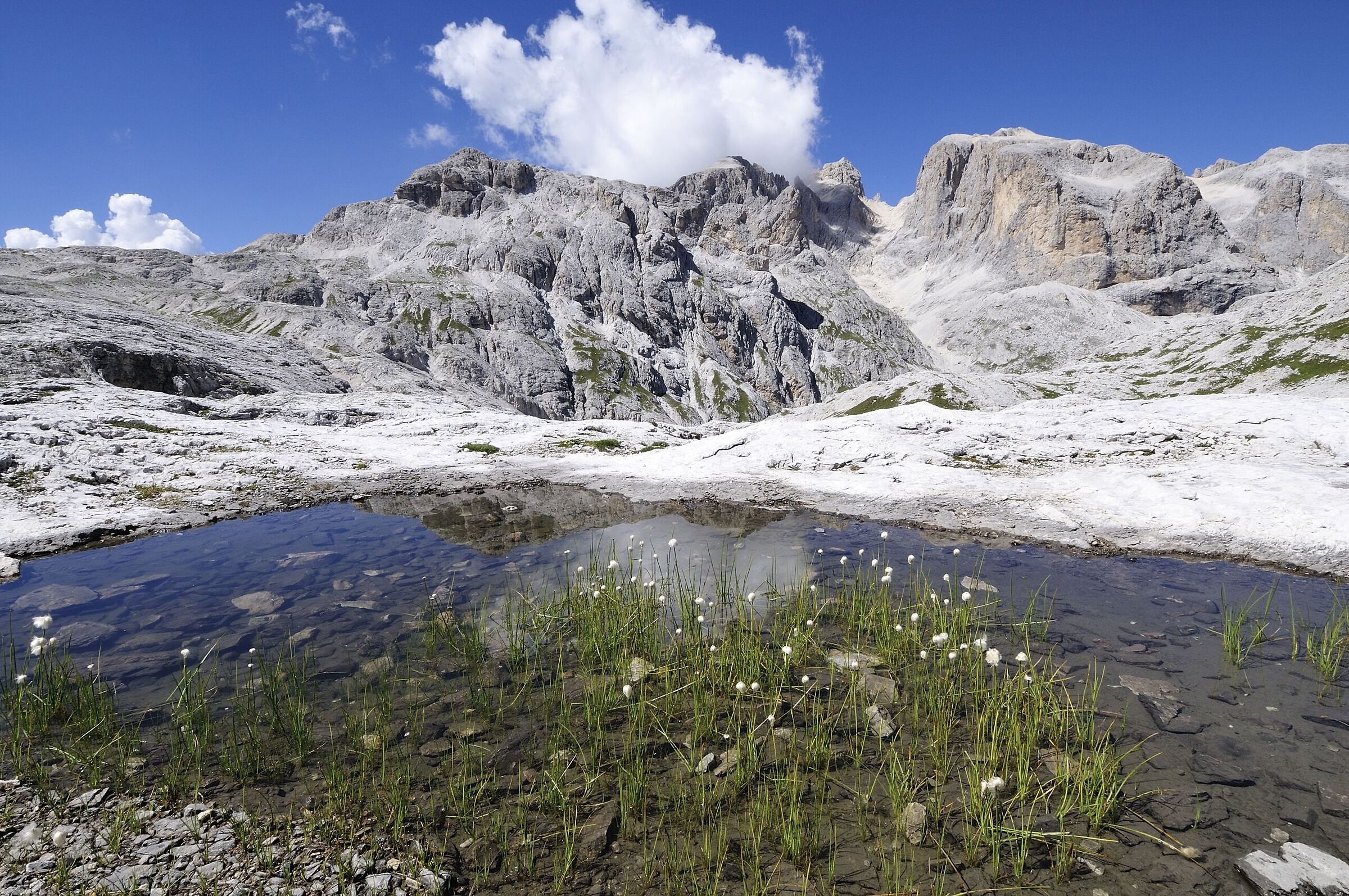 Dolomites
