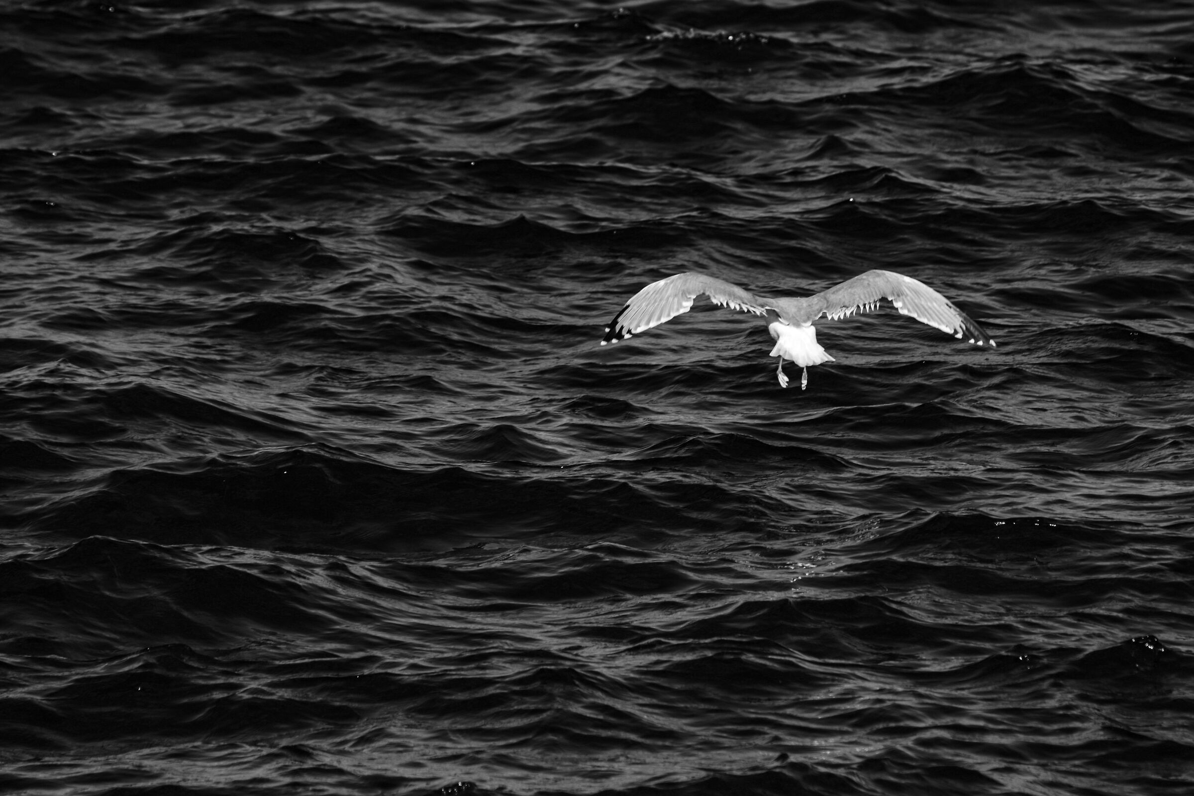 Gliding in the Blue