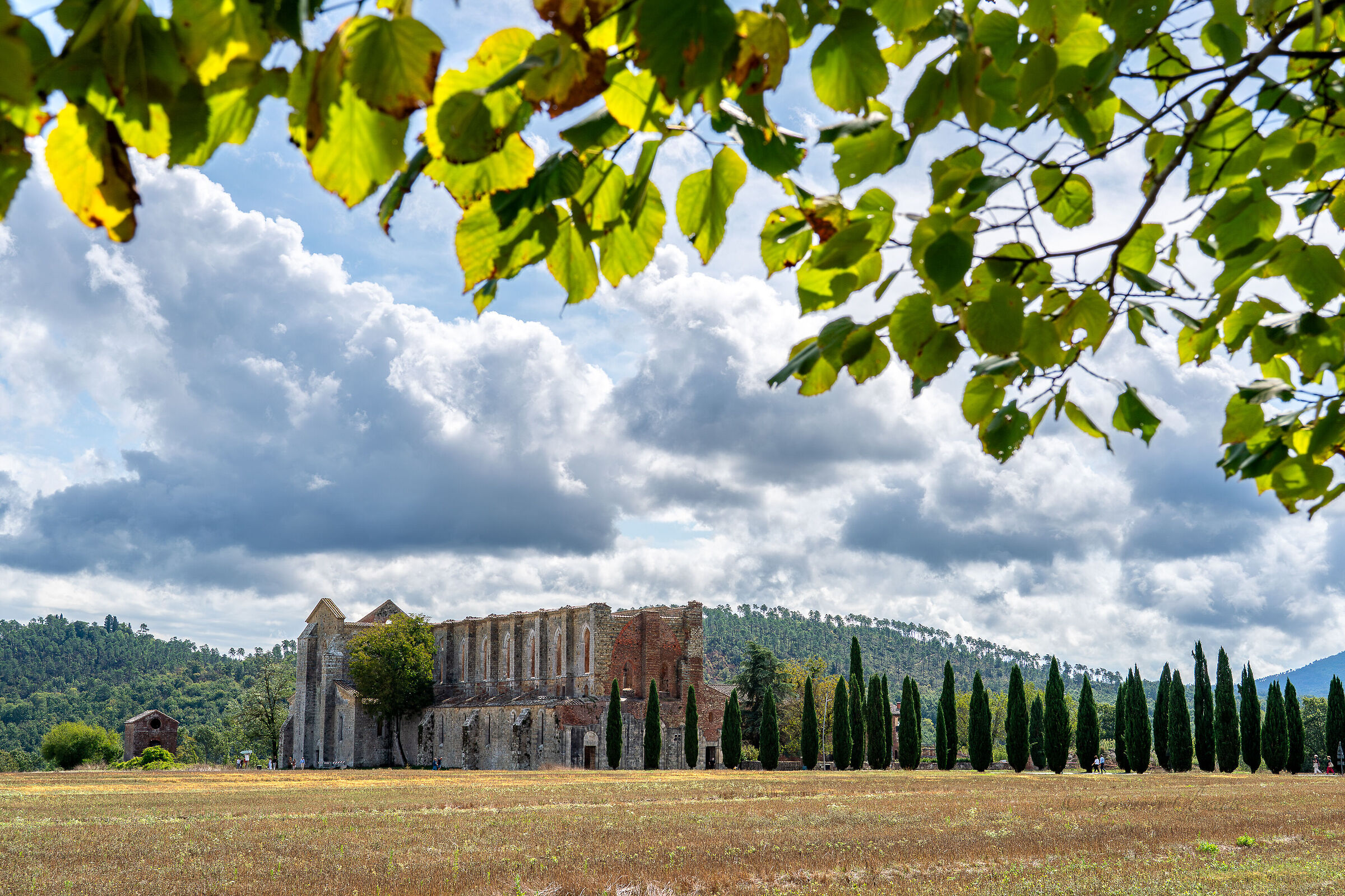 San Galgano