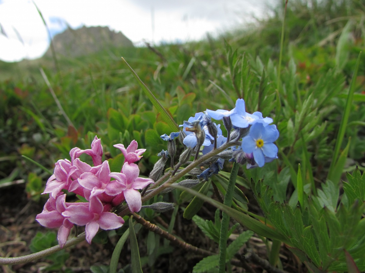 Sembravano abbracciarsi