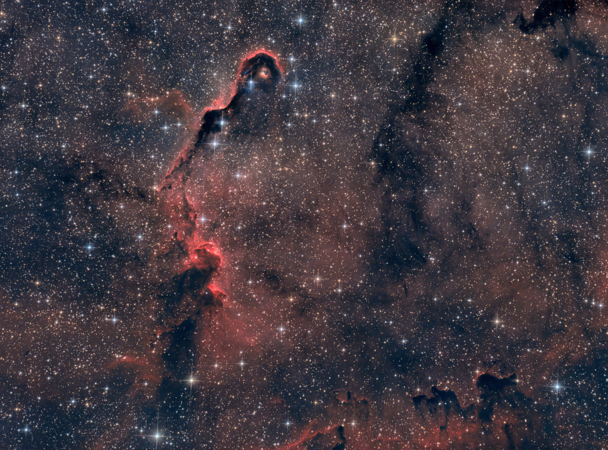 Nebulosa proboscide d'elefante