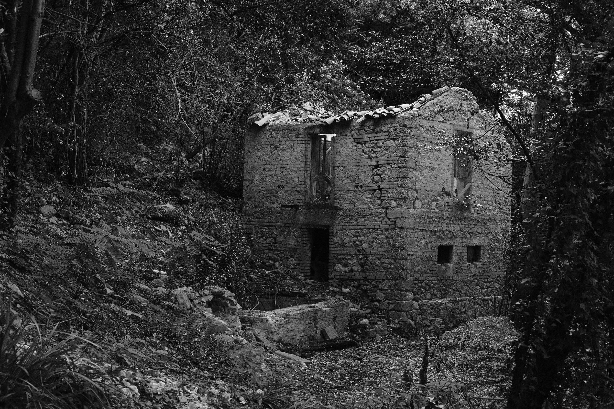 Ruined house in the woods