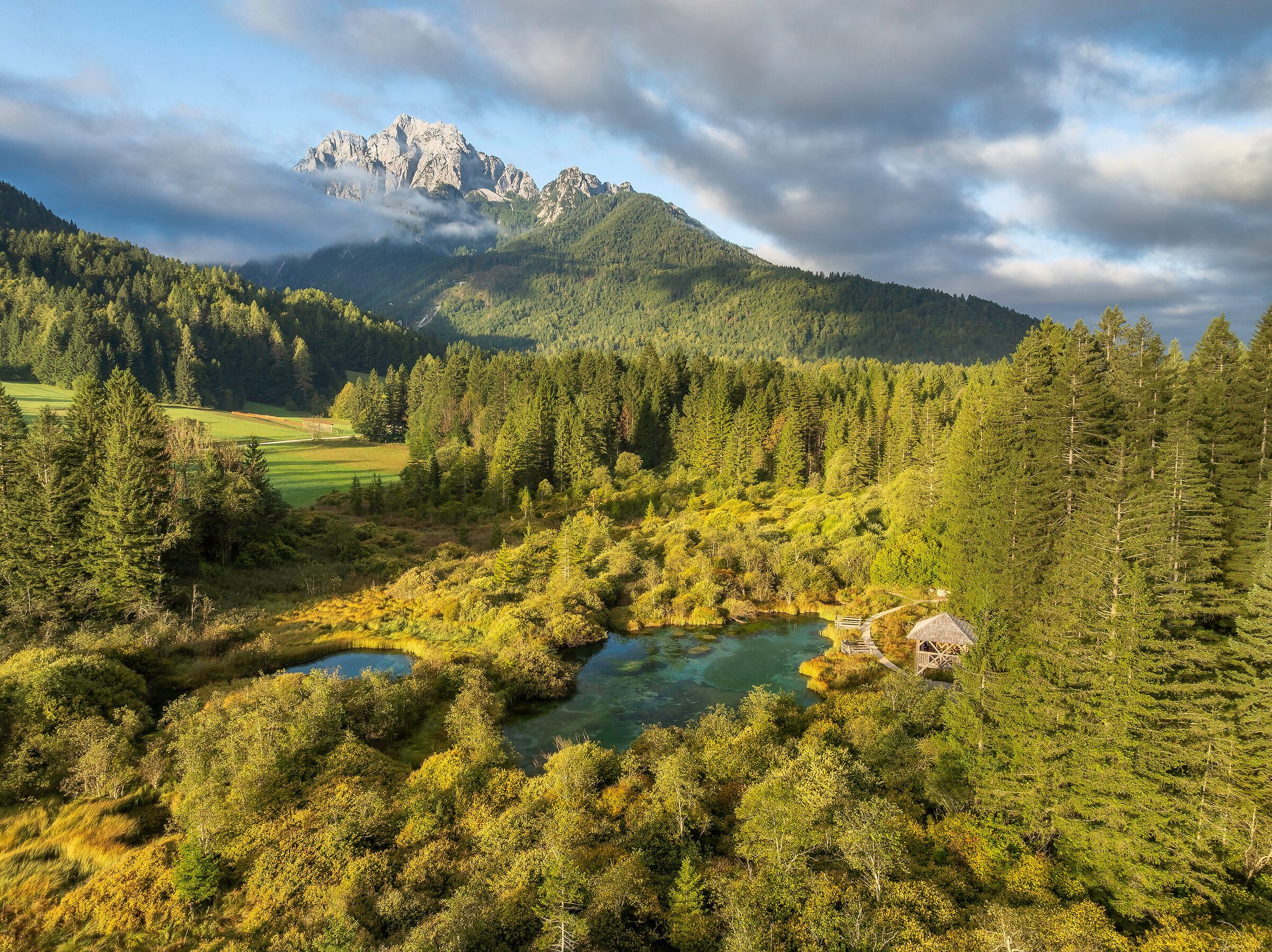 Zelenci springs