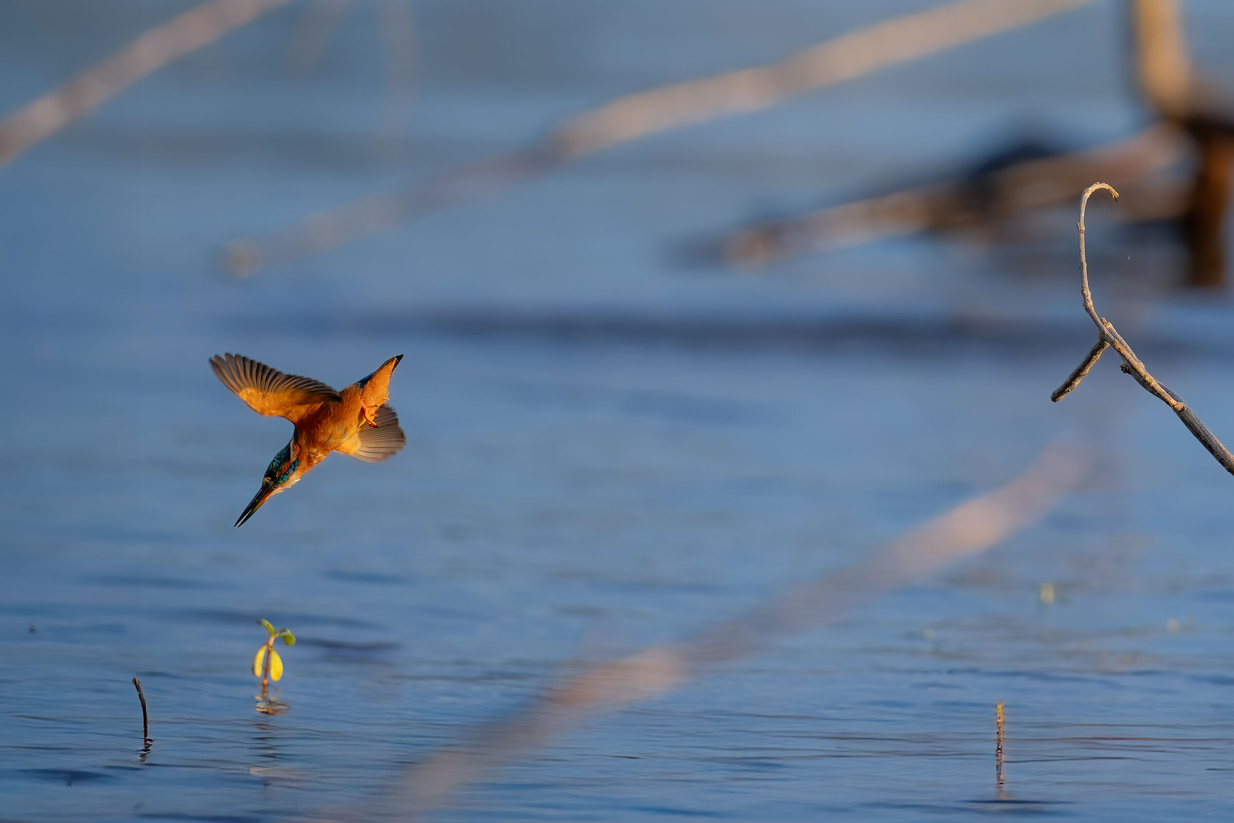 La foto del mio compleanno