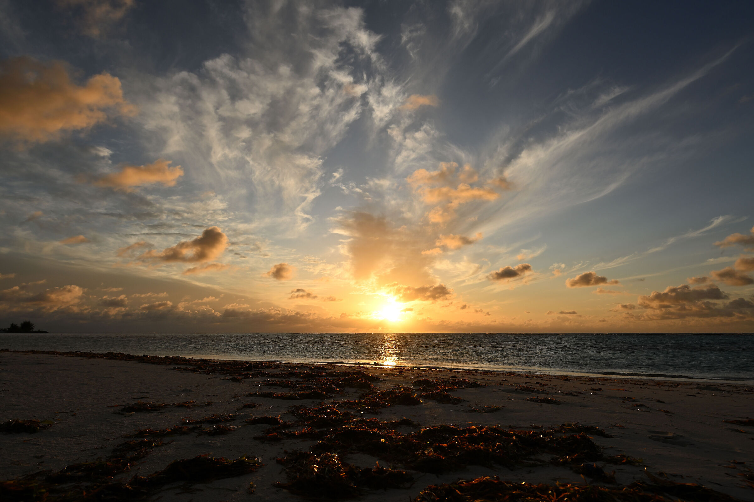 All'alba