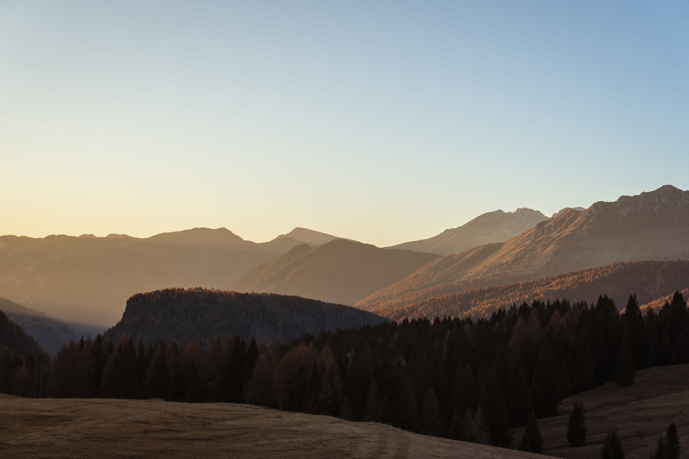 Autumn in the sunset