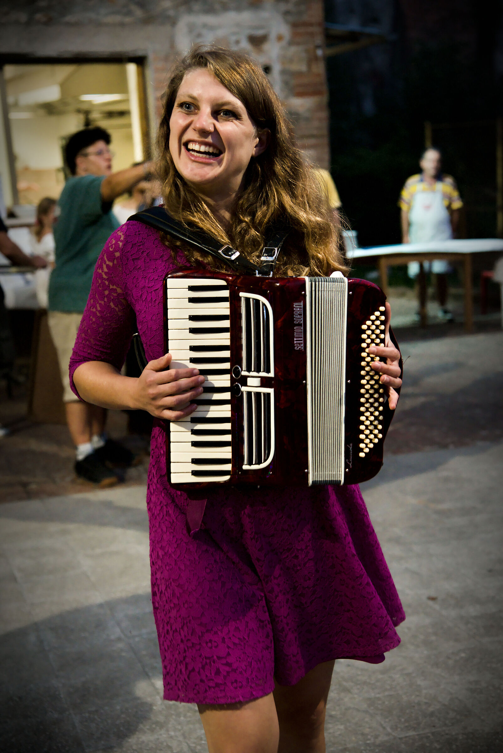 The accordionist