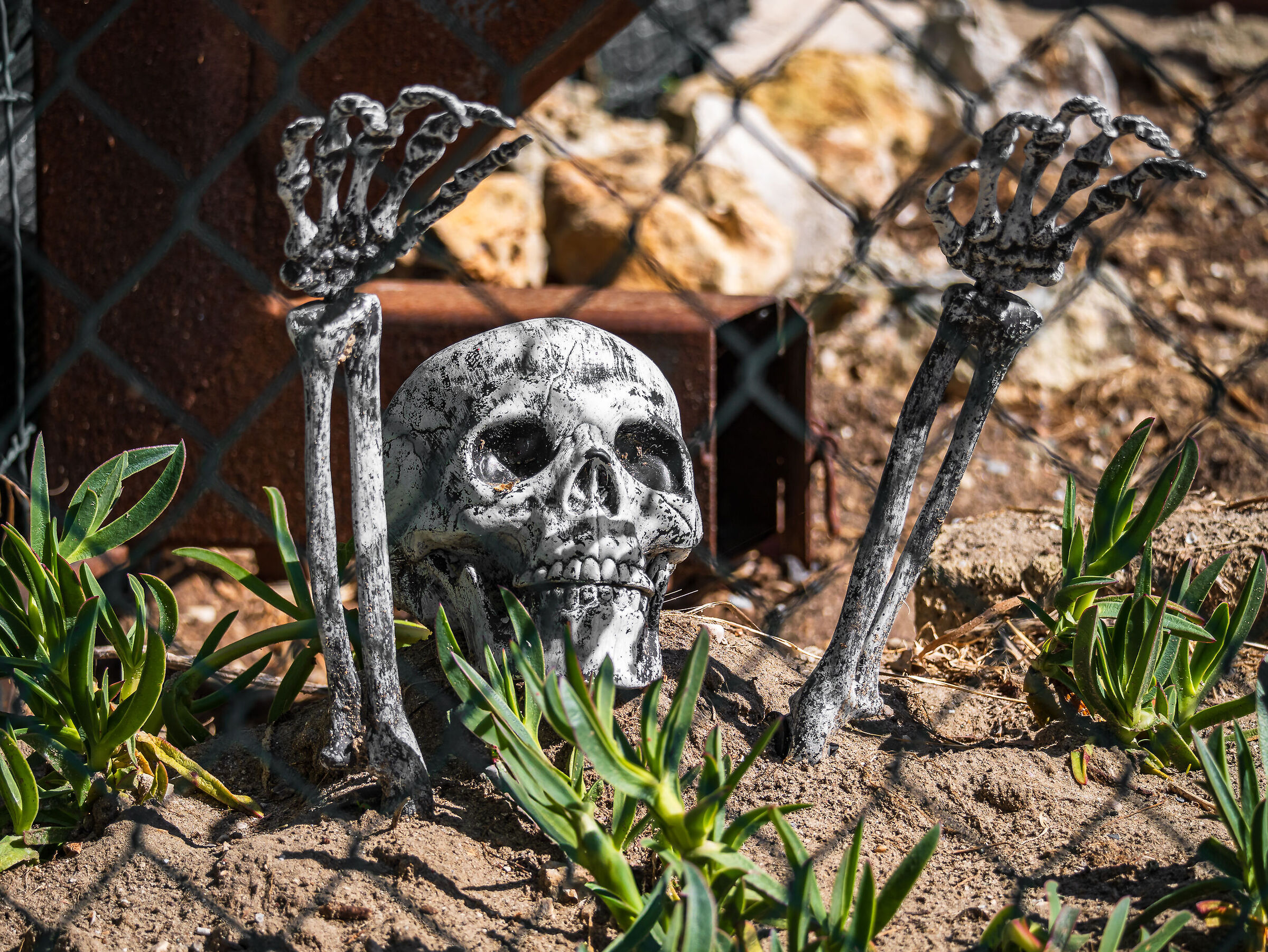 r.i.p. a volte ritornano...