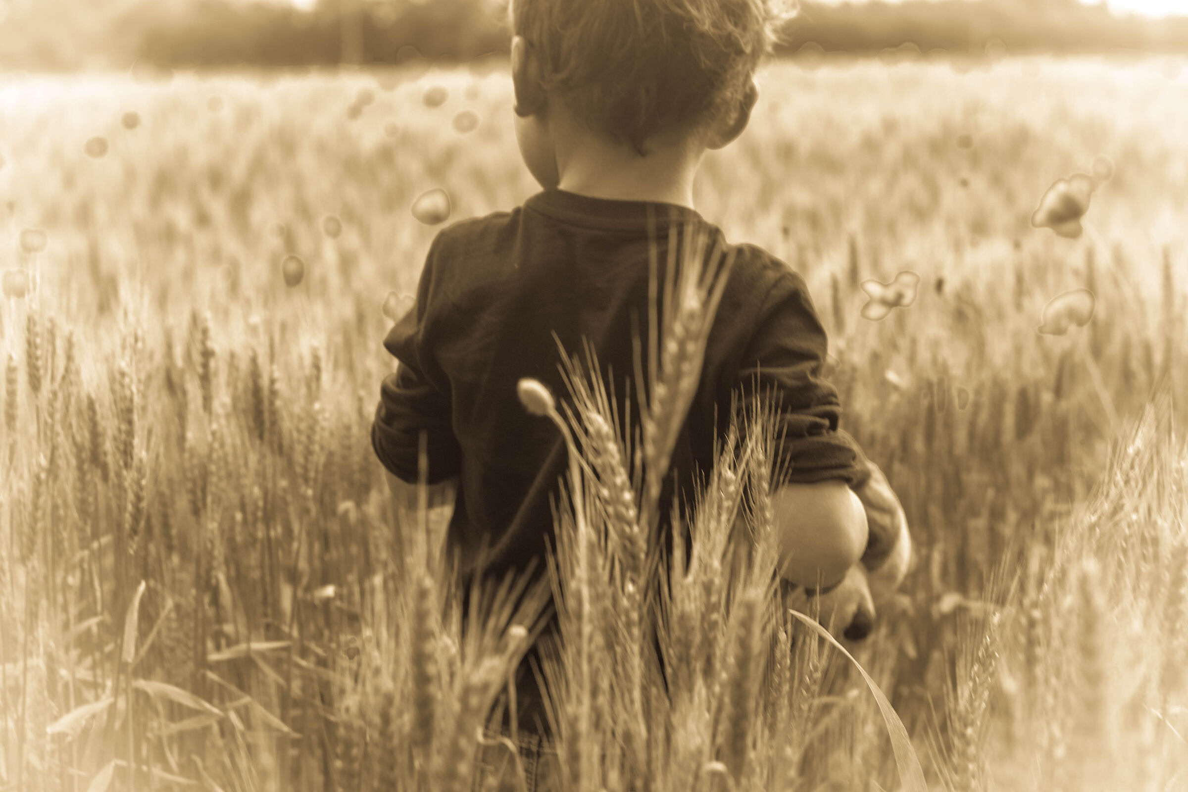 The Little Gladiator