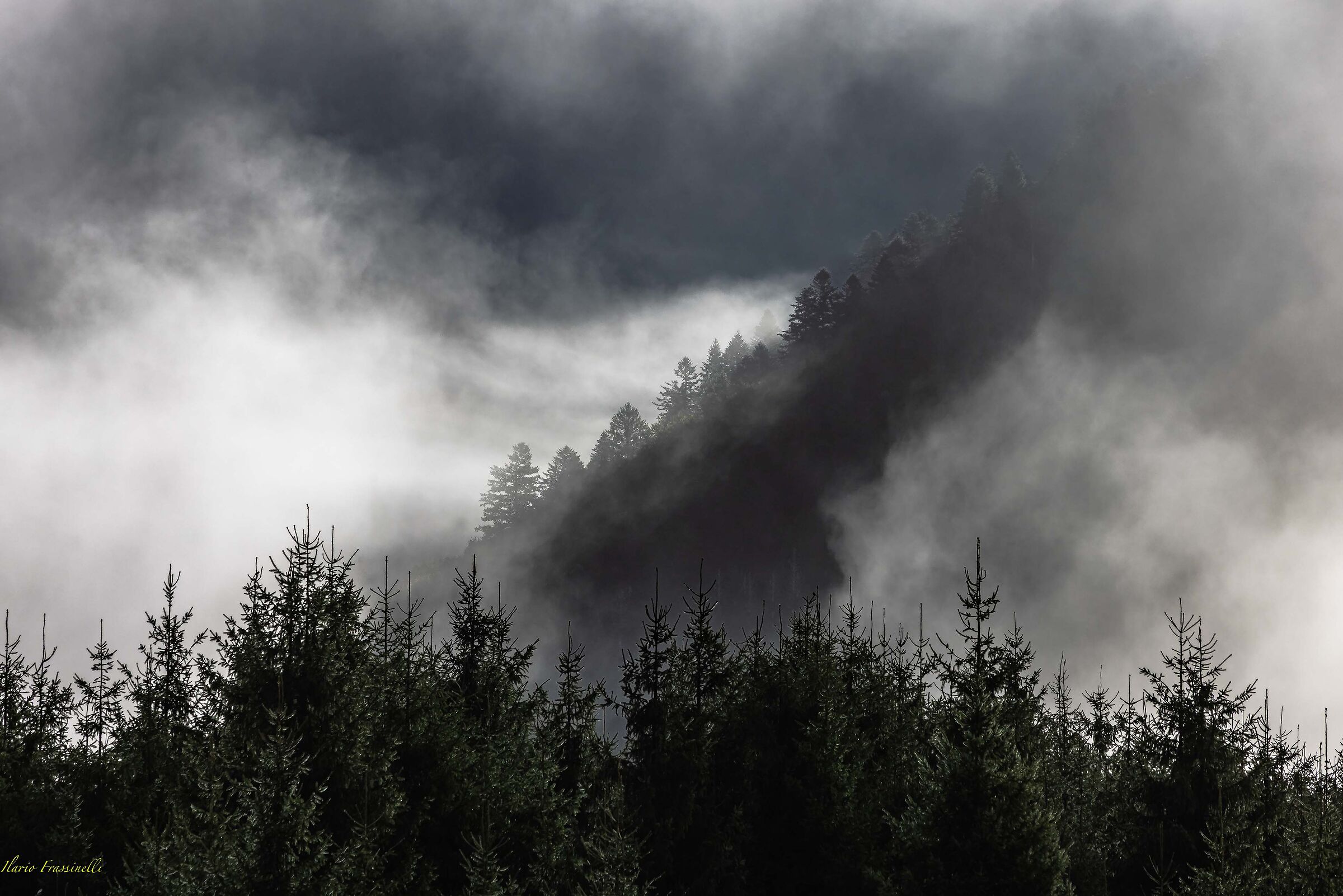 Val scura nella nebbia mattutina
