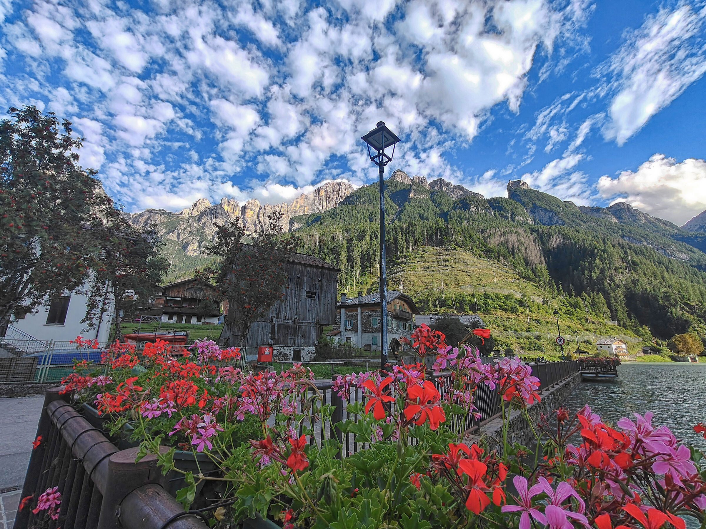 Pecorelle ad Alleghe