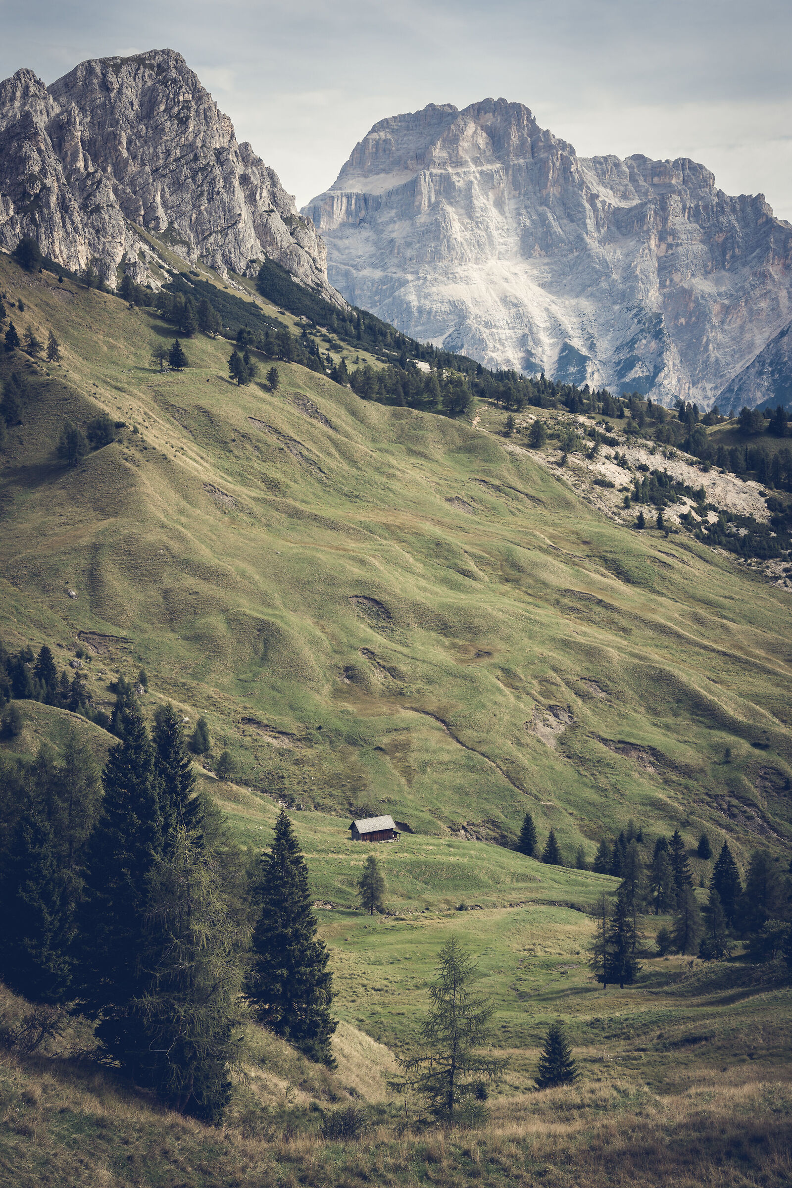 Taulà de la Ruòibes