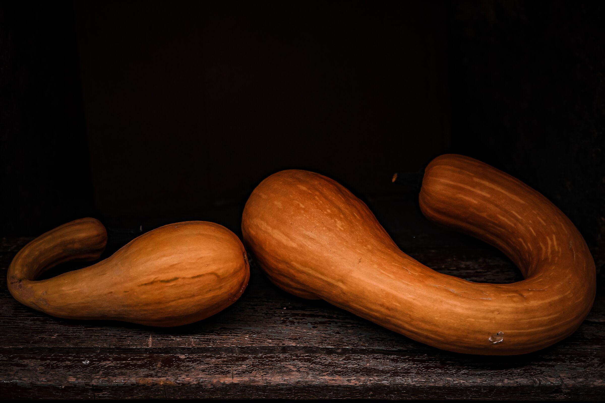 Still Life with Pumpkins