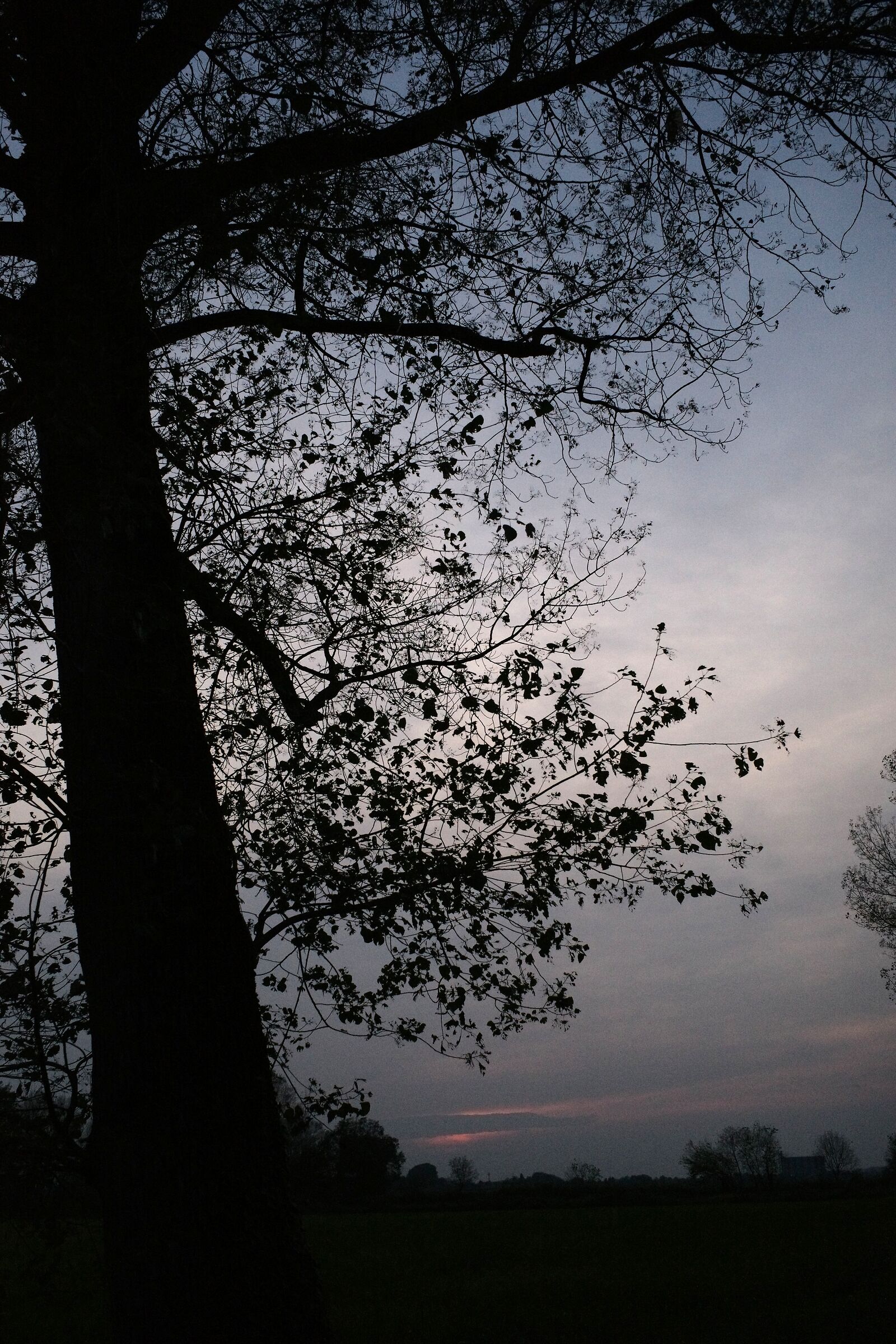 I Vespri, camminando prima di sera