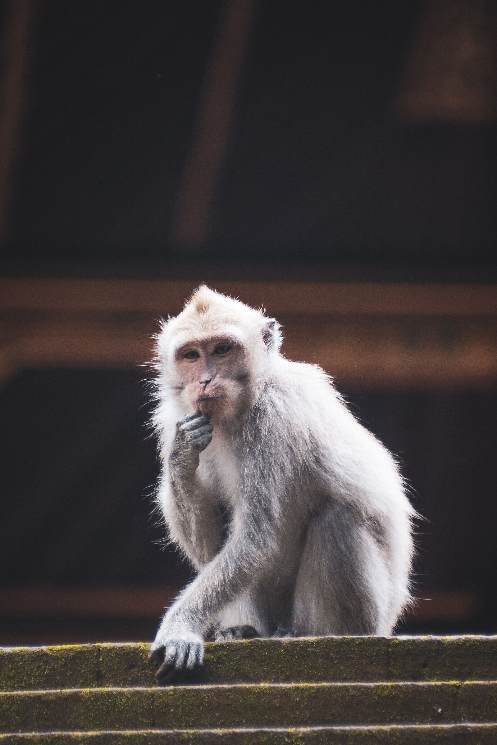 Thoughtful