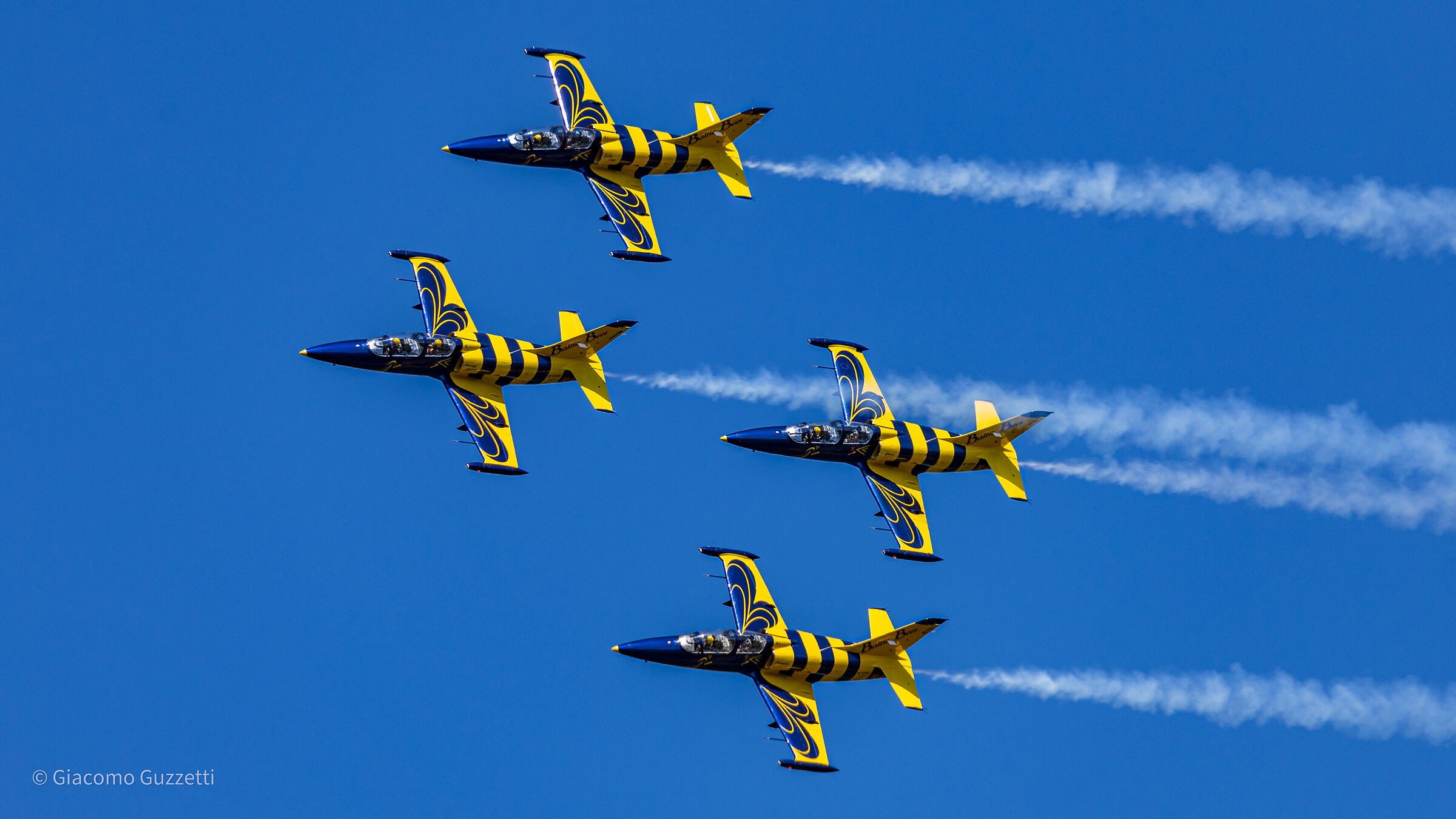 Aero l-39 Albatros - Baltic Bees