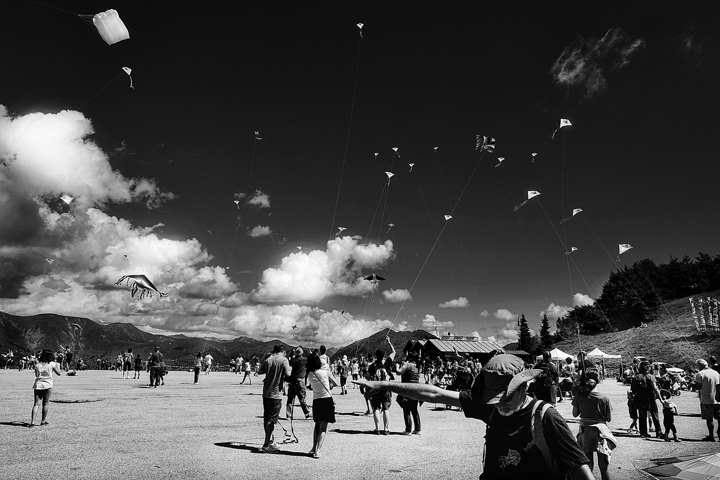 Kites