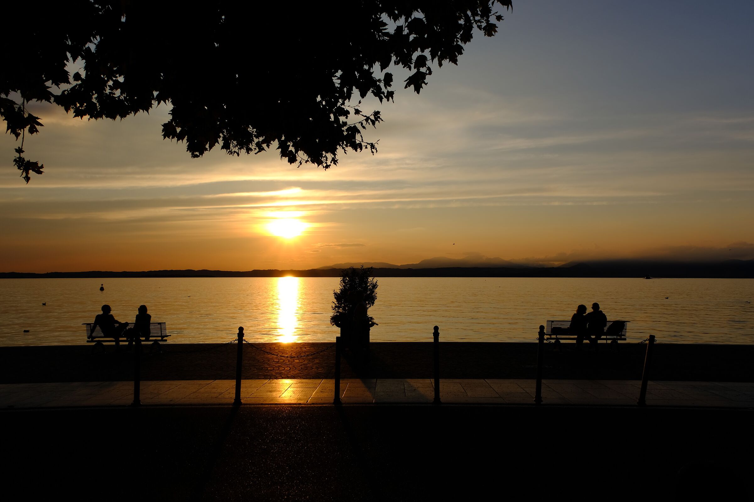 Lazise.