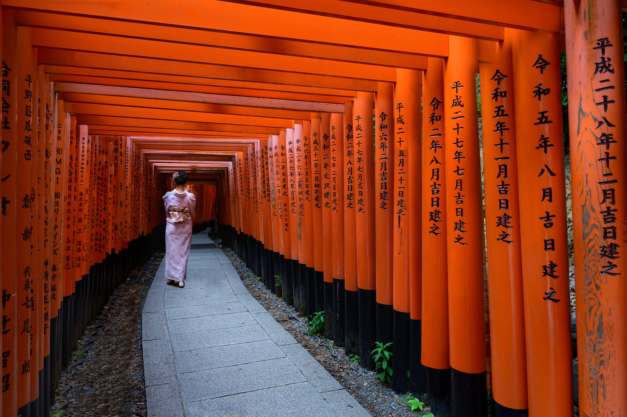 Santuario Fushimi Inari-taisha - Giappone