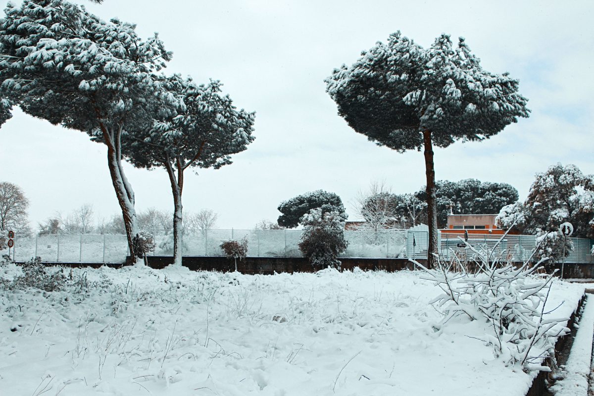 Neve a Roma