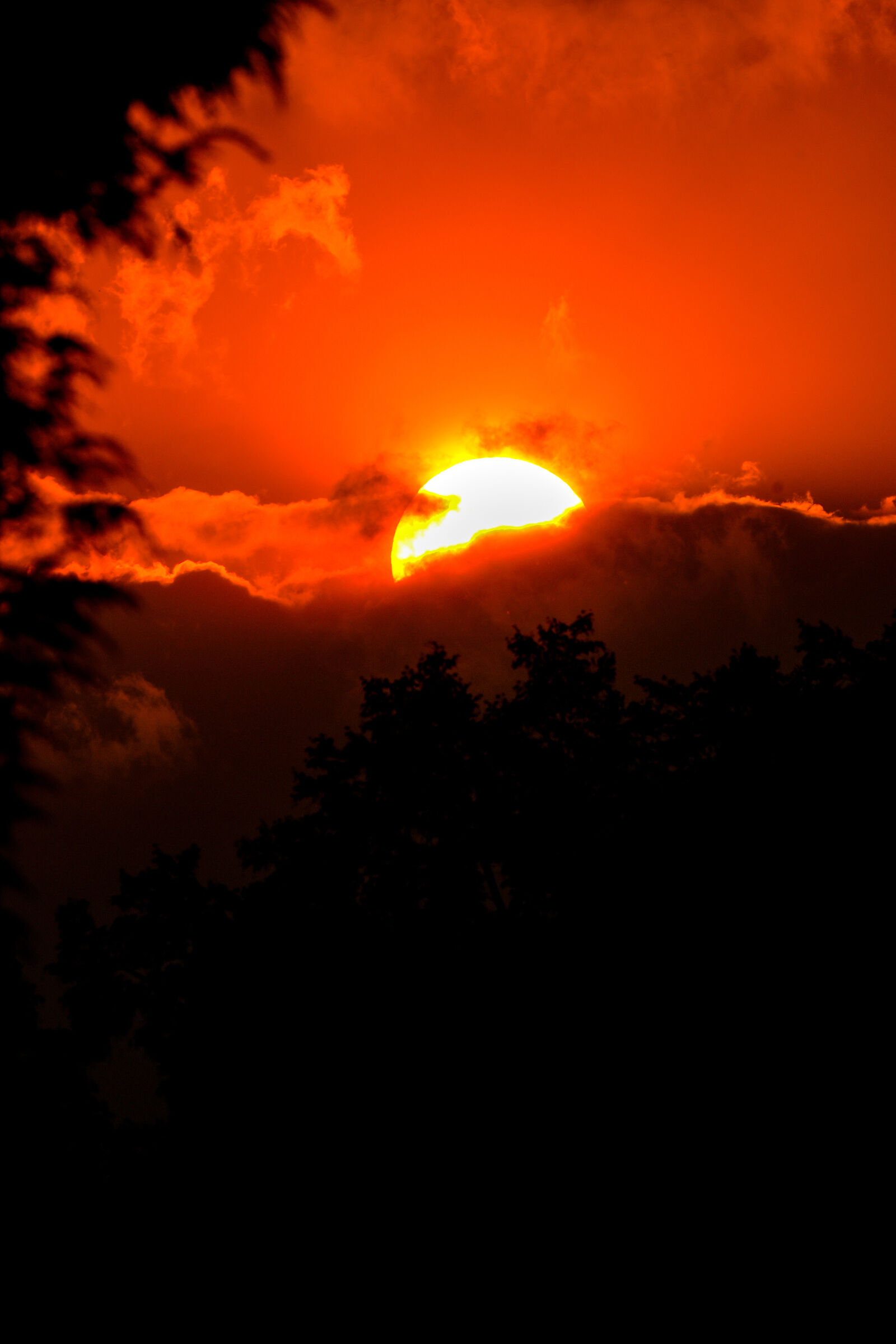 Un tramonto