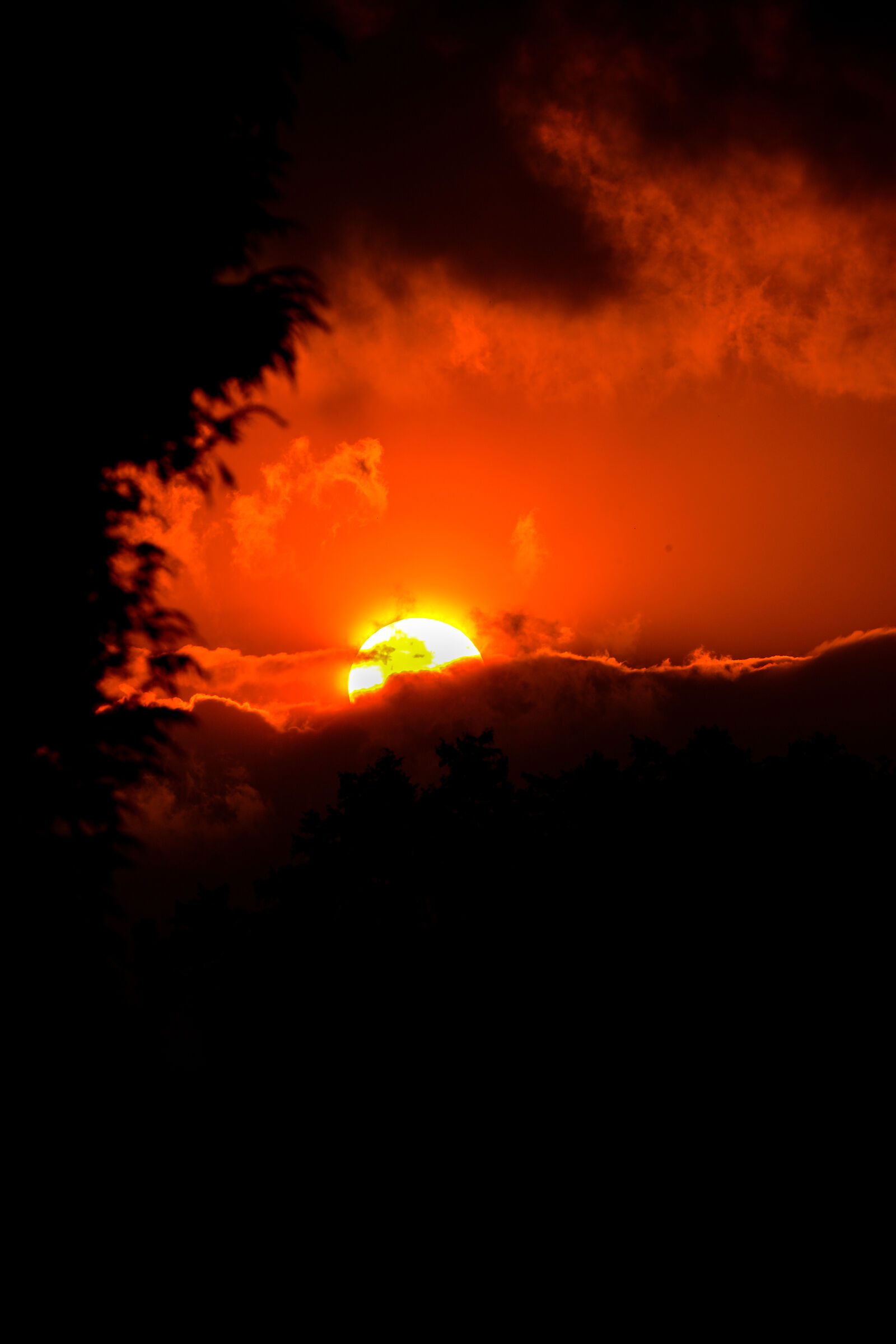 Un tramonto