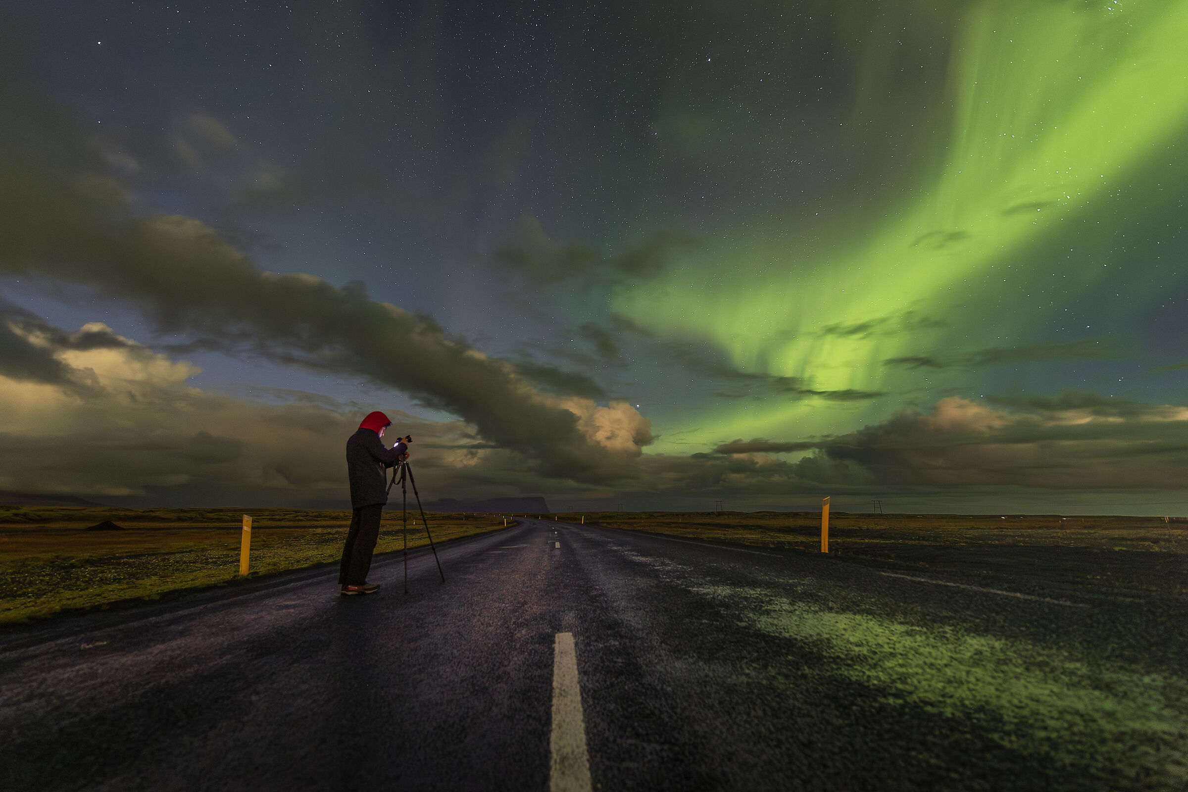Magical nights