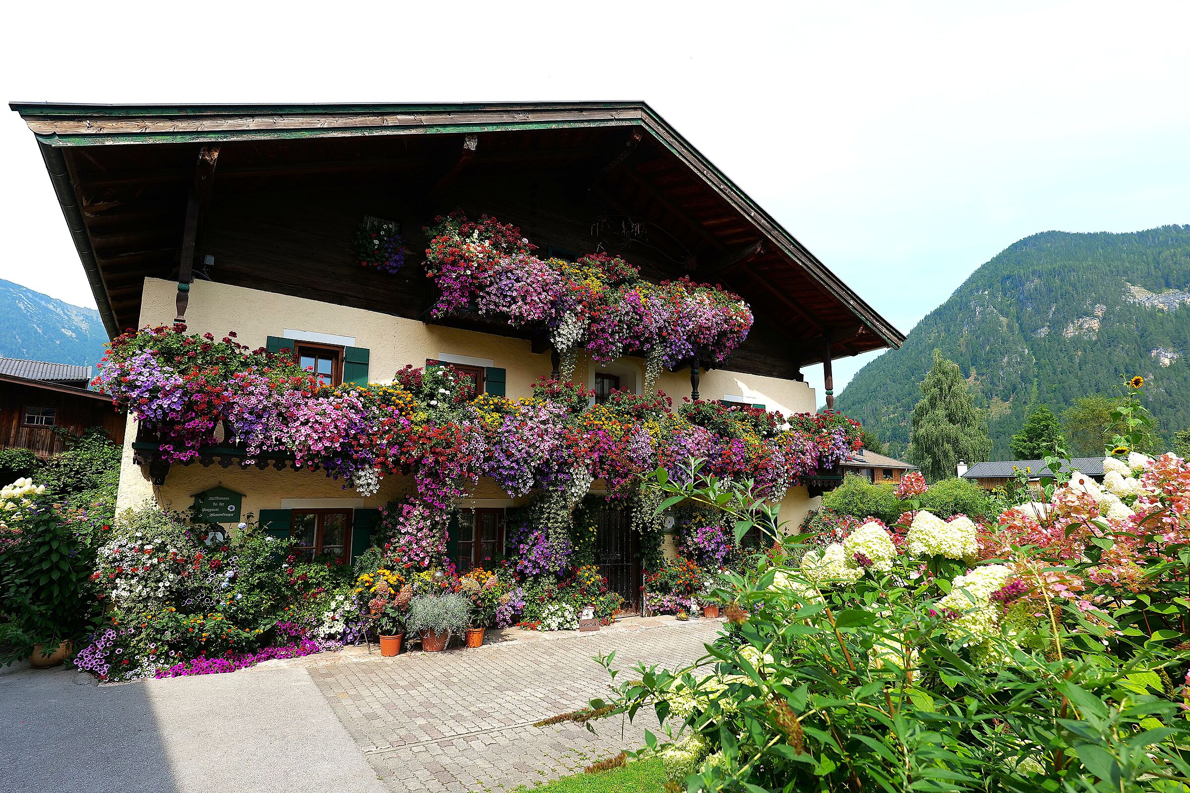 Casa in Fiore S.t. Martein