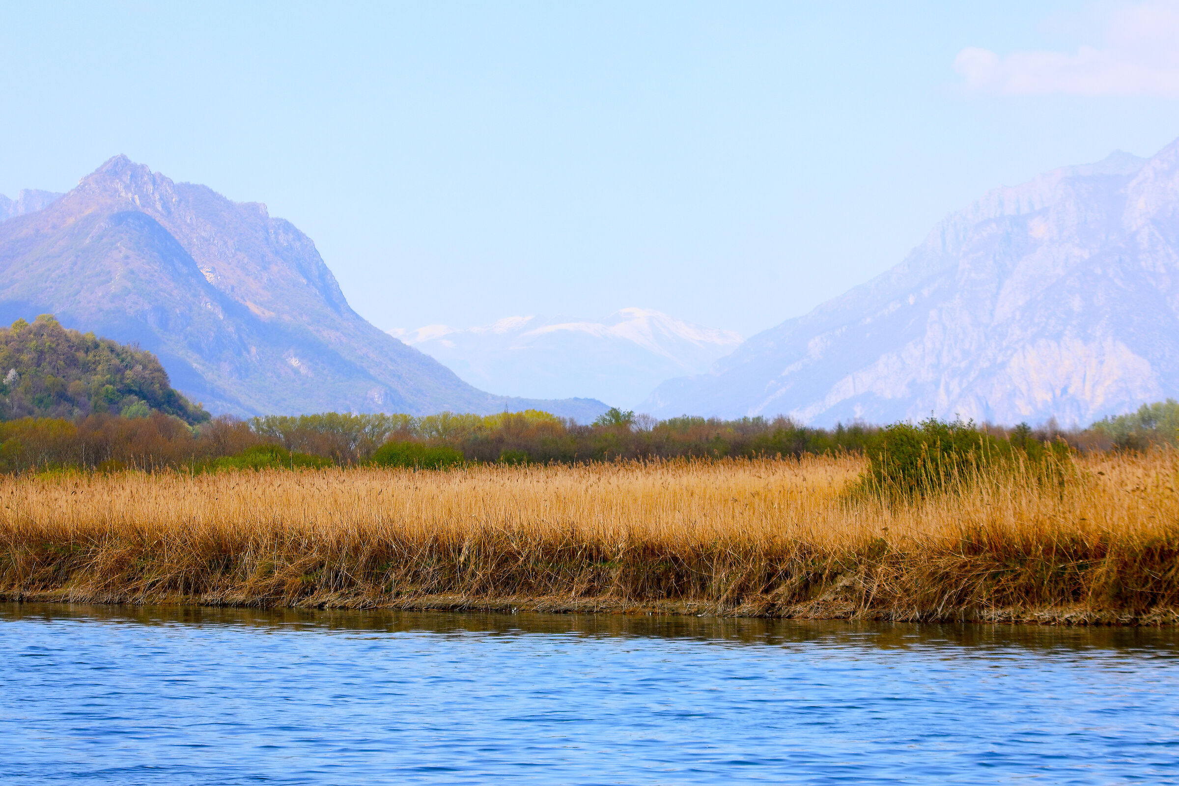 Panorama 7 aprile 2025 - 0103