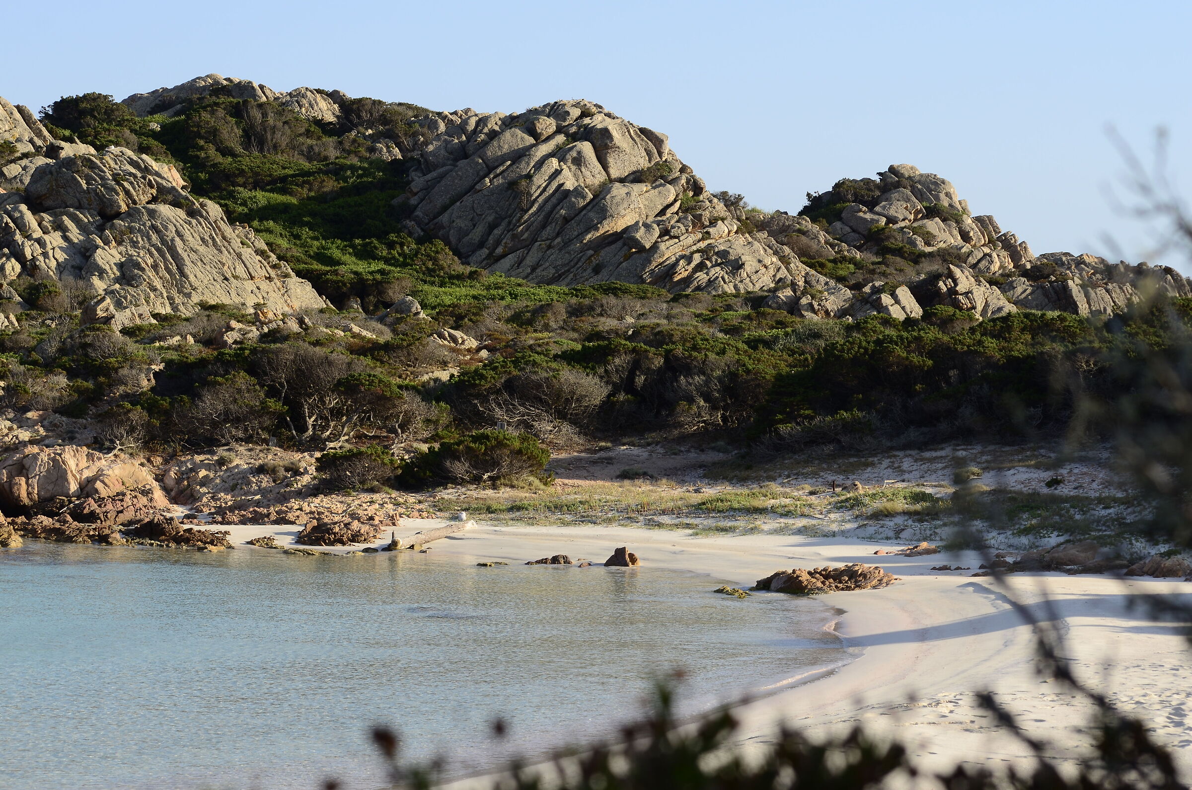 Spiaggia rosa