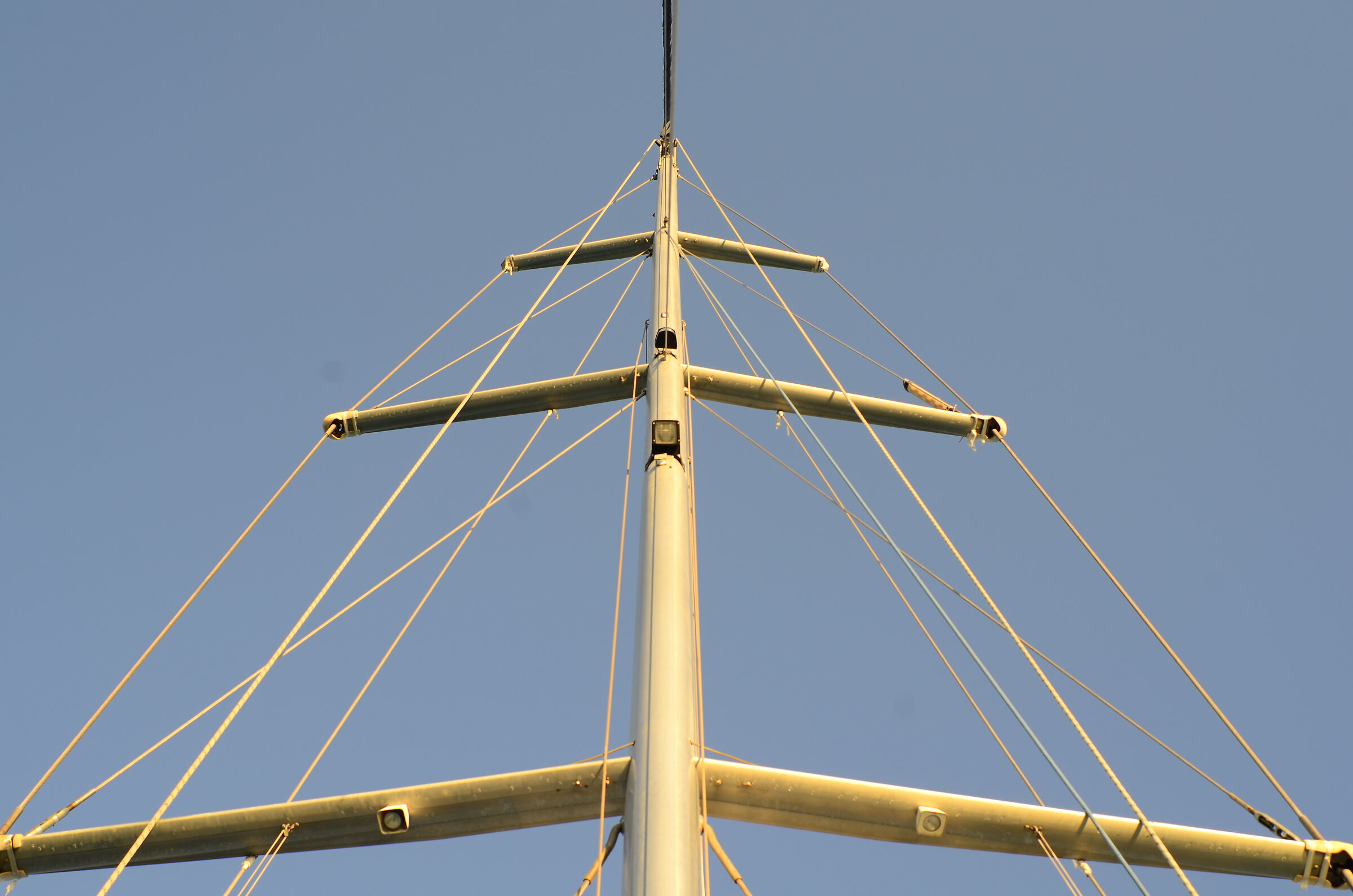 Simmetria dell'albero