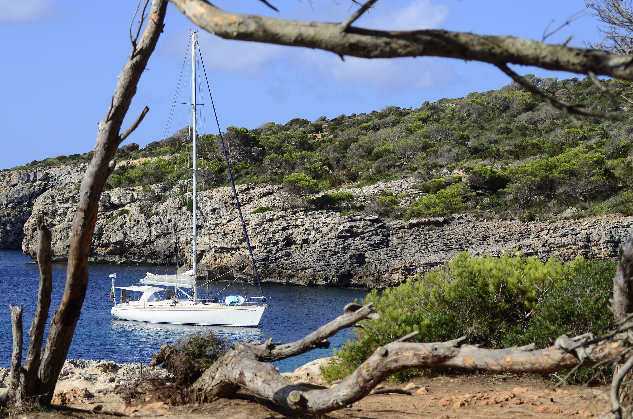 Mare, vela e natura